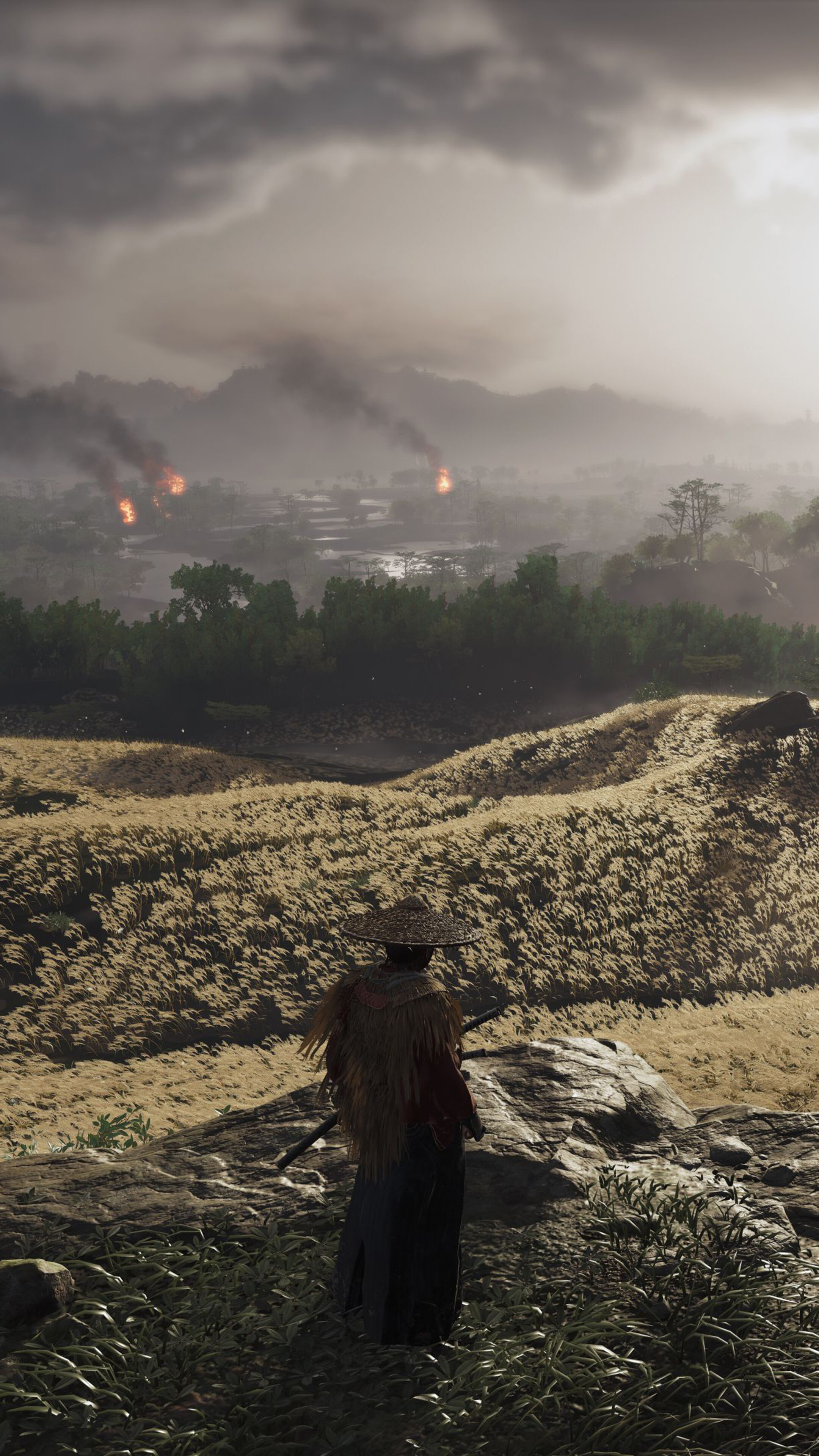 Ghost of Tsushima Field Scenery 4K HD Phone Wallpaper