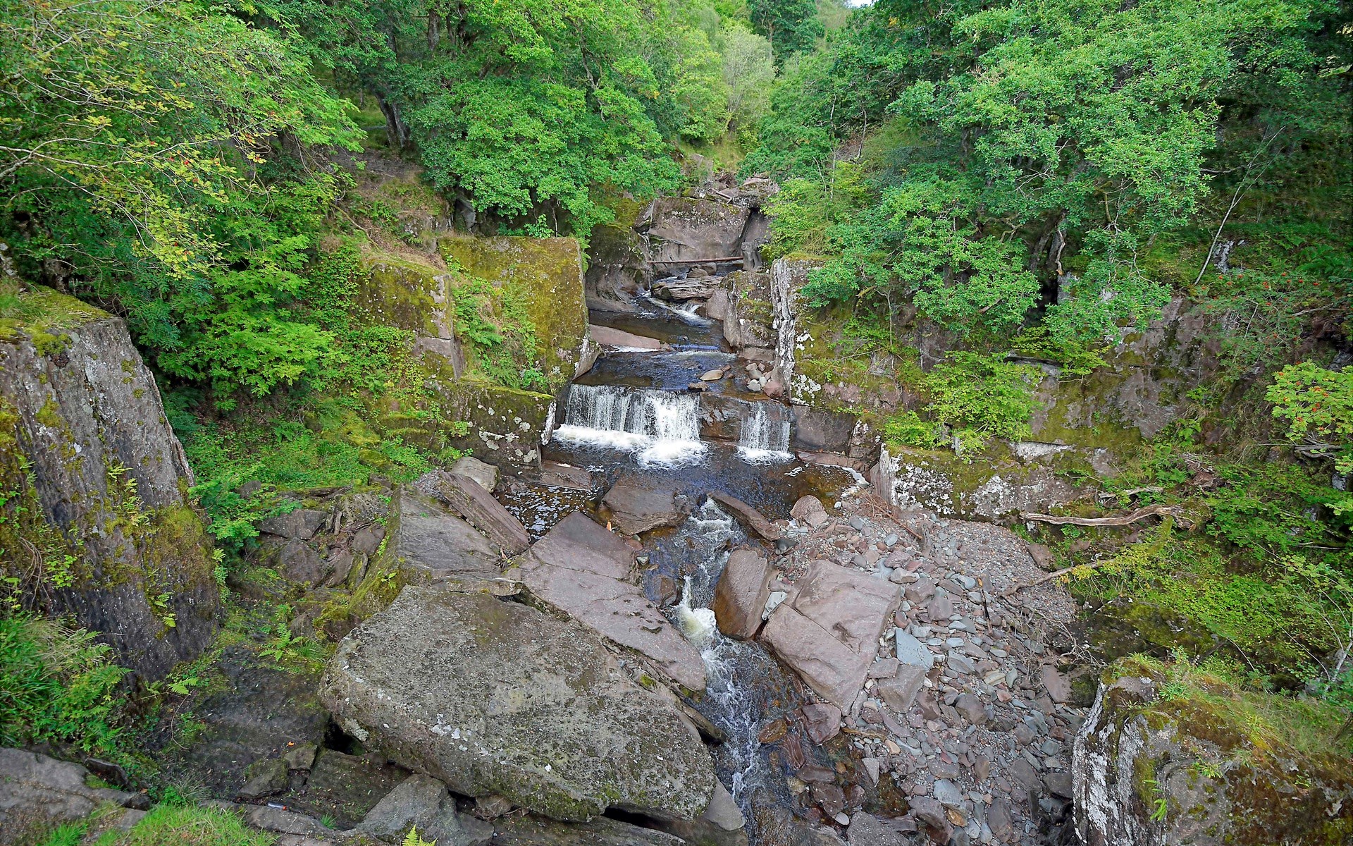 Waterfall cascading over rocks in a forest HD Wallpaper