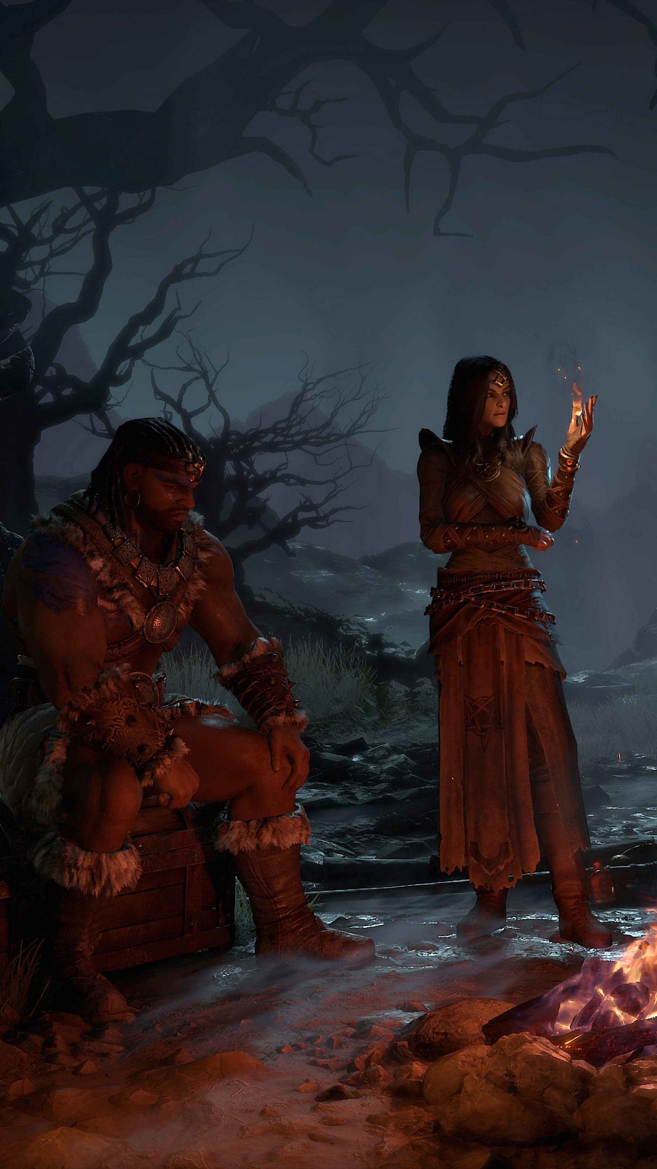 Diablo 4 characters by a campfire HD Phone Wallpaper