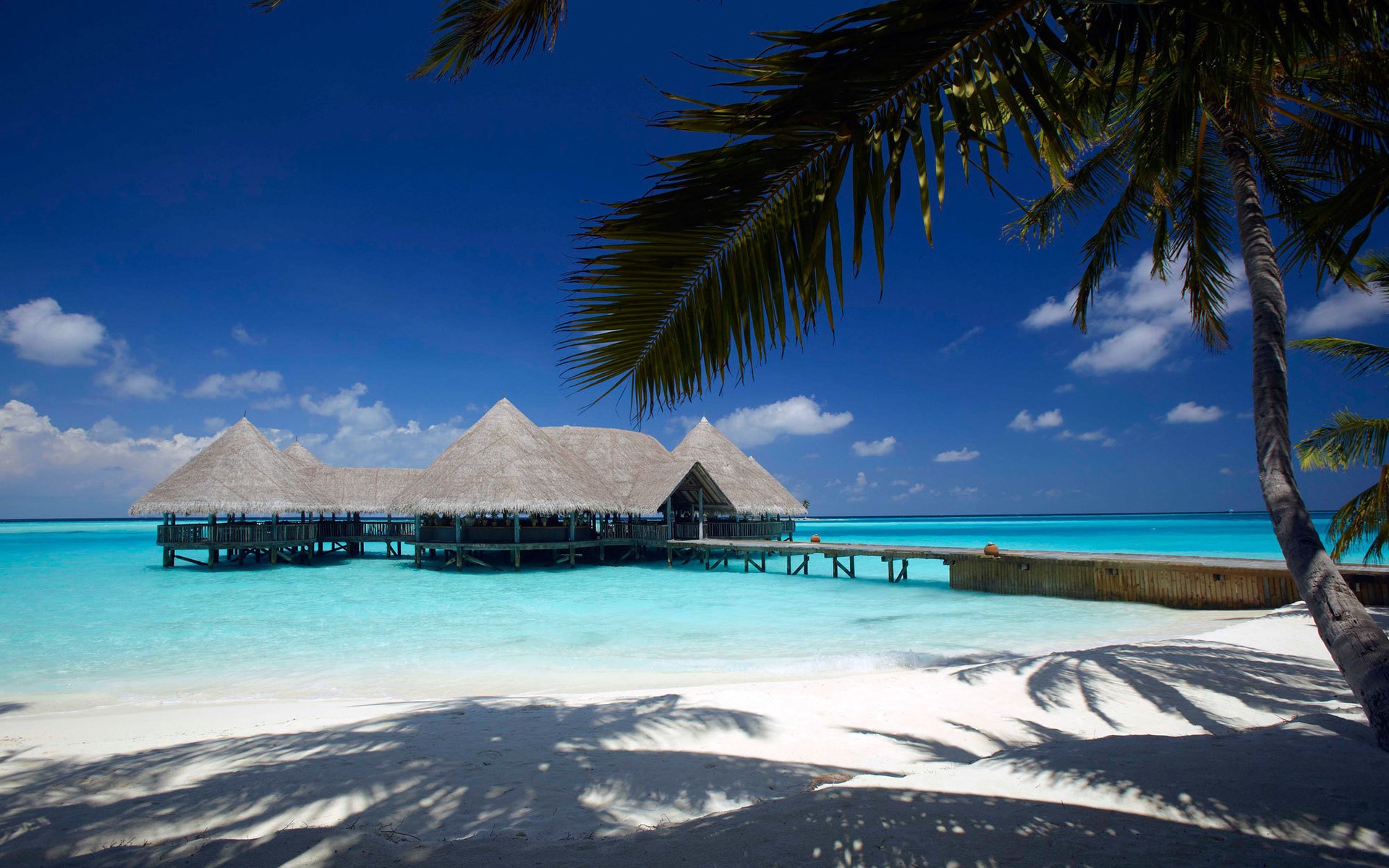 Overwater bungalows in turquoise water under a blue sky HD Wallpaper