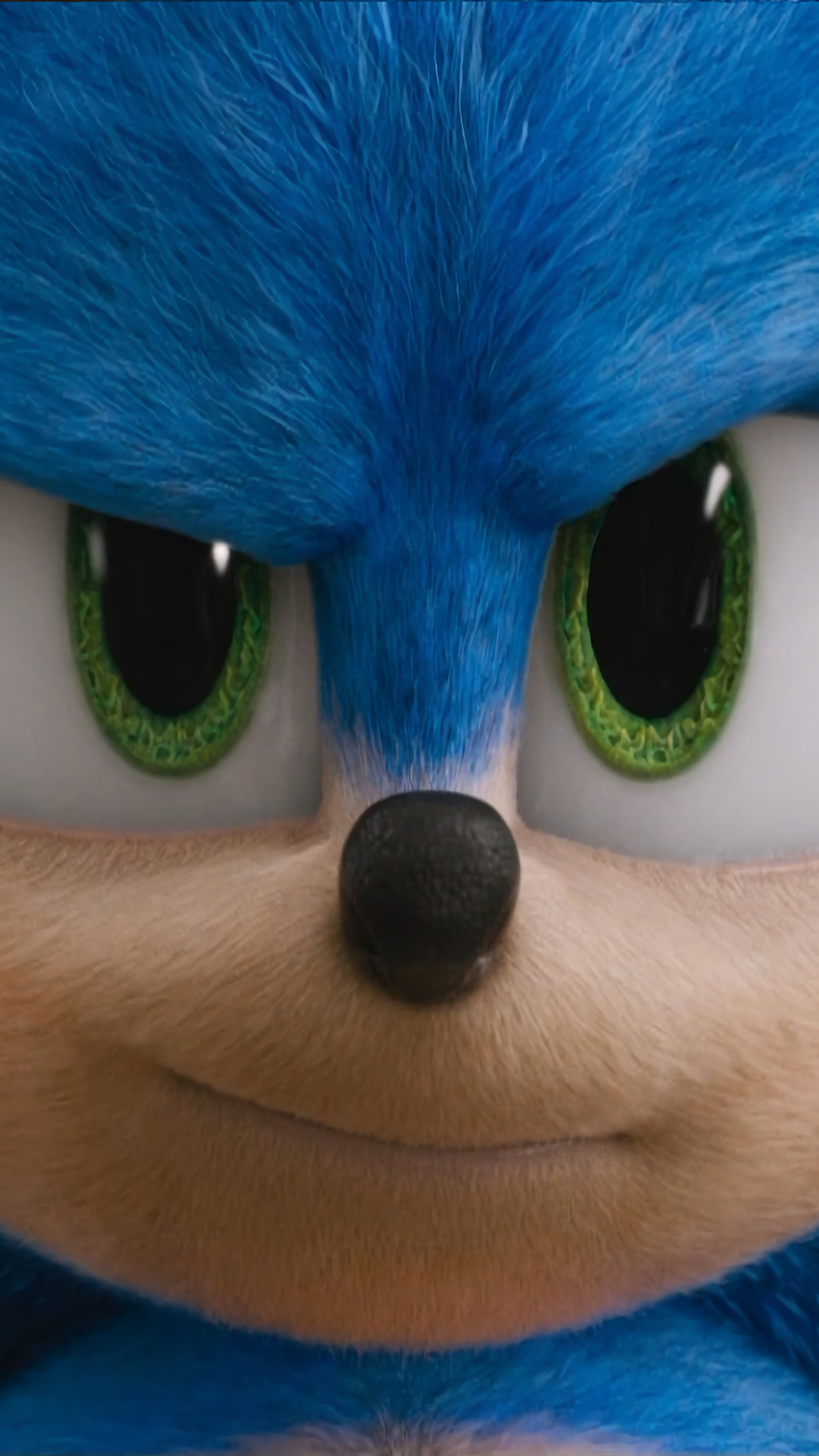 Sonic The Hedgehog, Movie, 2020, New, 4k HD Phone Wallpaper
