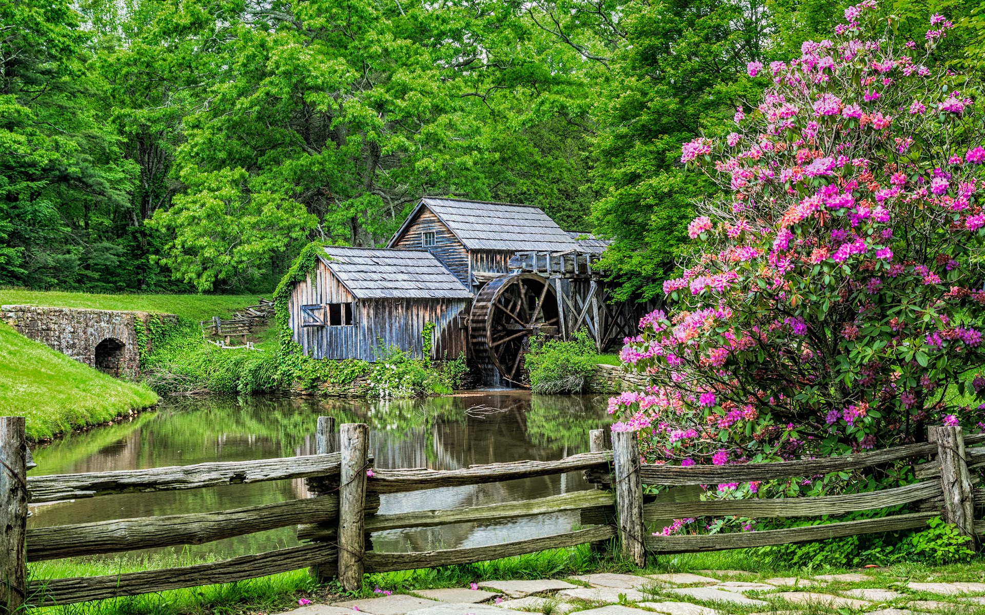 Old water mill by a pond with blooming rhododendrons HD Wallpaper
