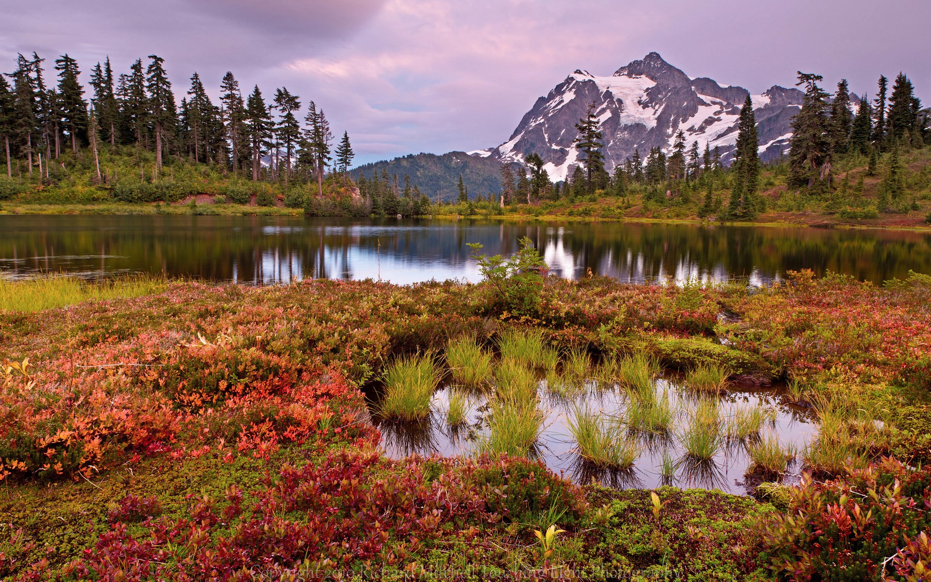 Mountain lake with autumn foliage and snow-capped peak HD Wallpaper
