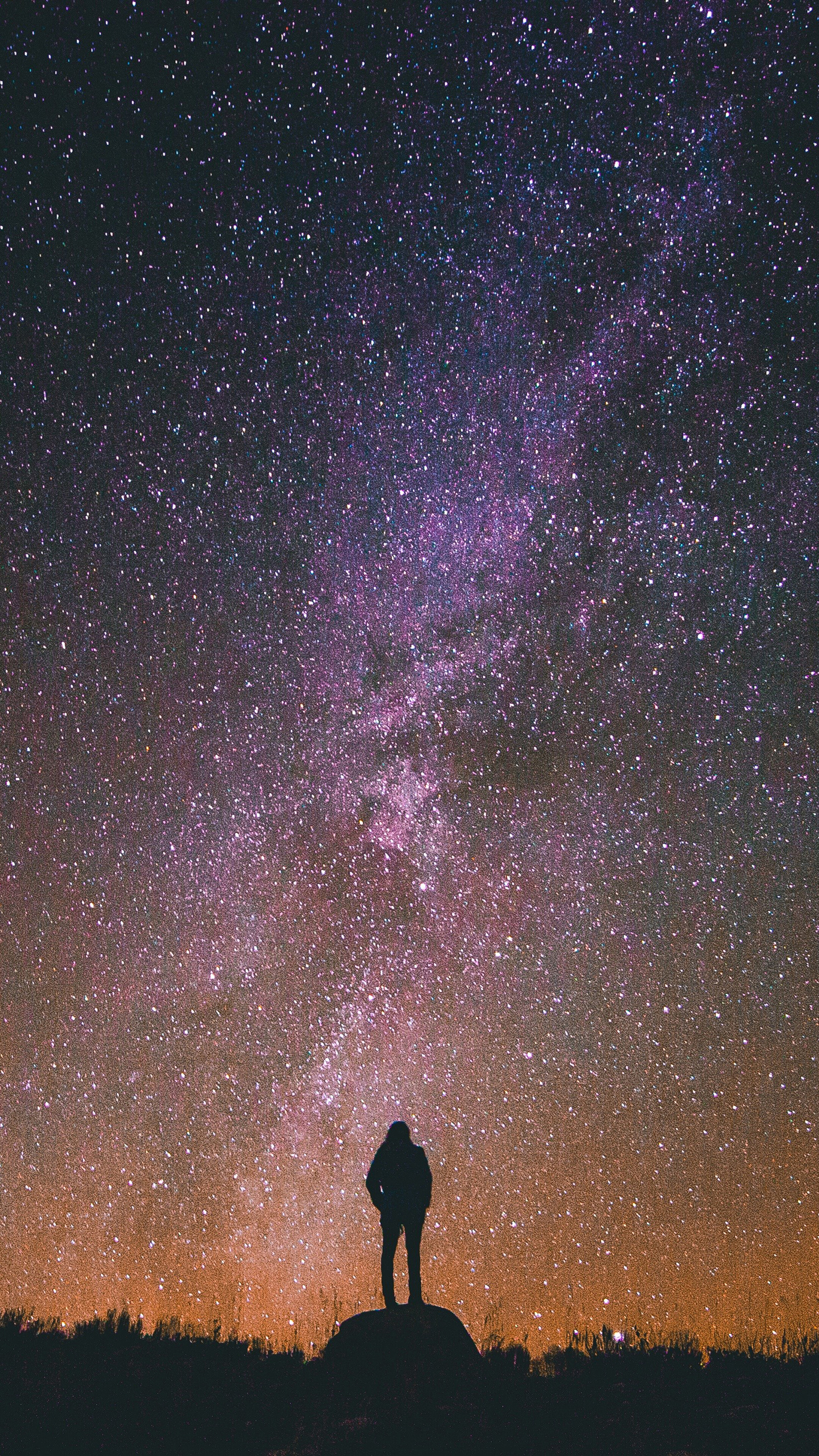 Stars, Night, Sky, Scenery, Silhouette HD HD Phone Wallpaper