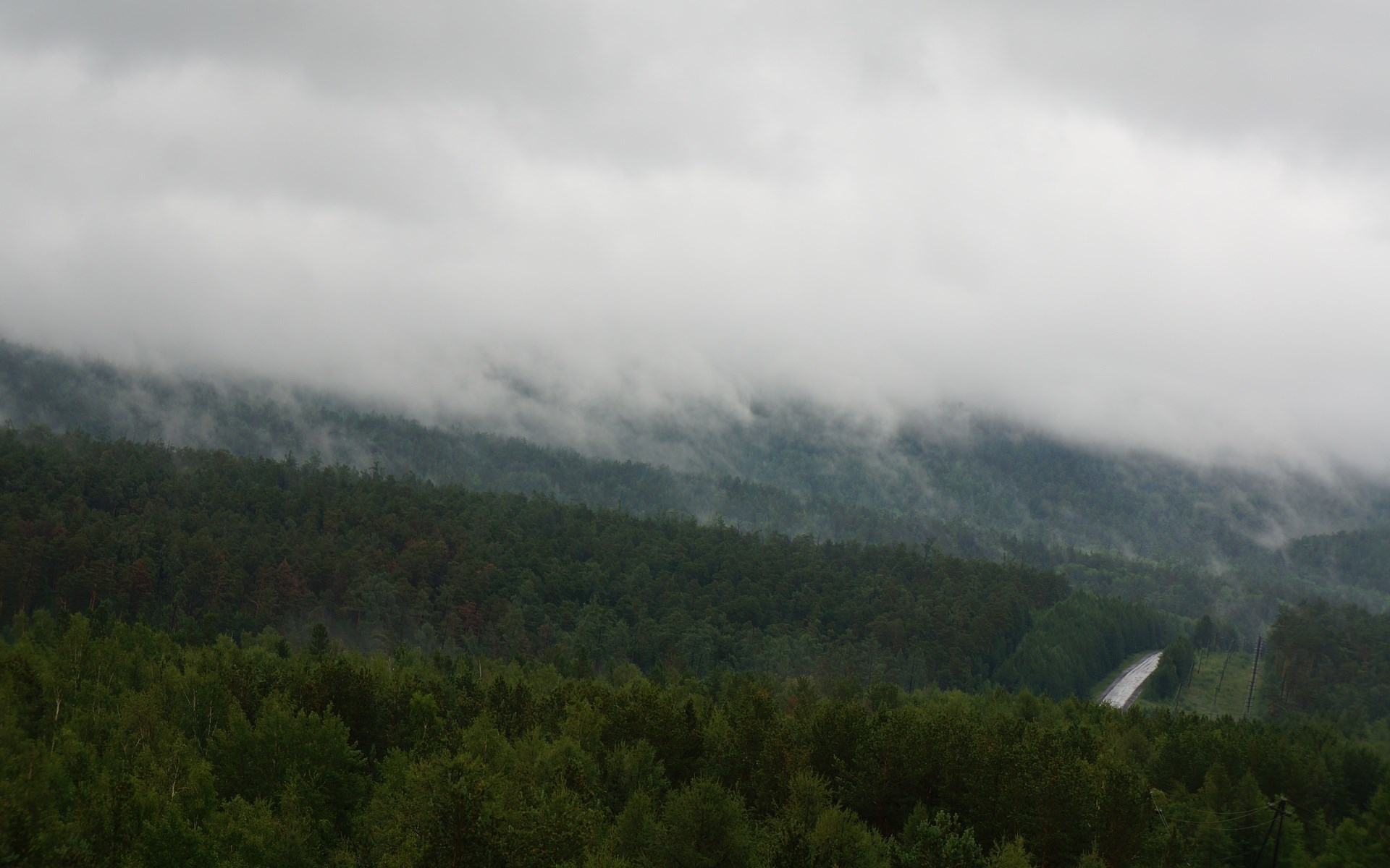 Misty mountains and a forest road HD Wallpaper