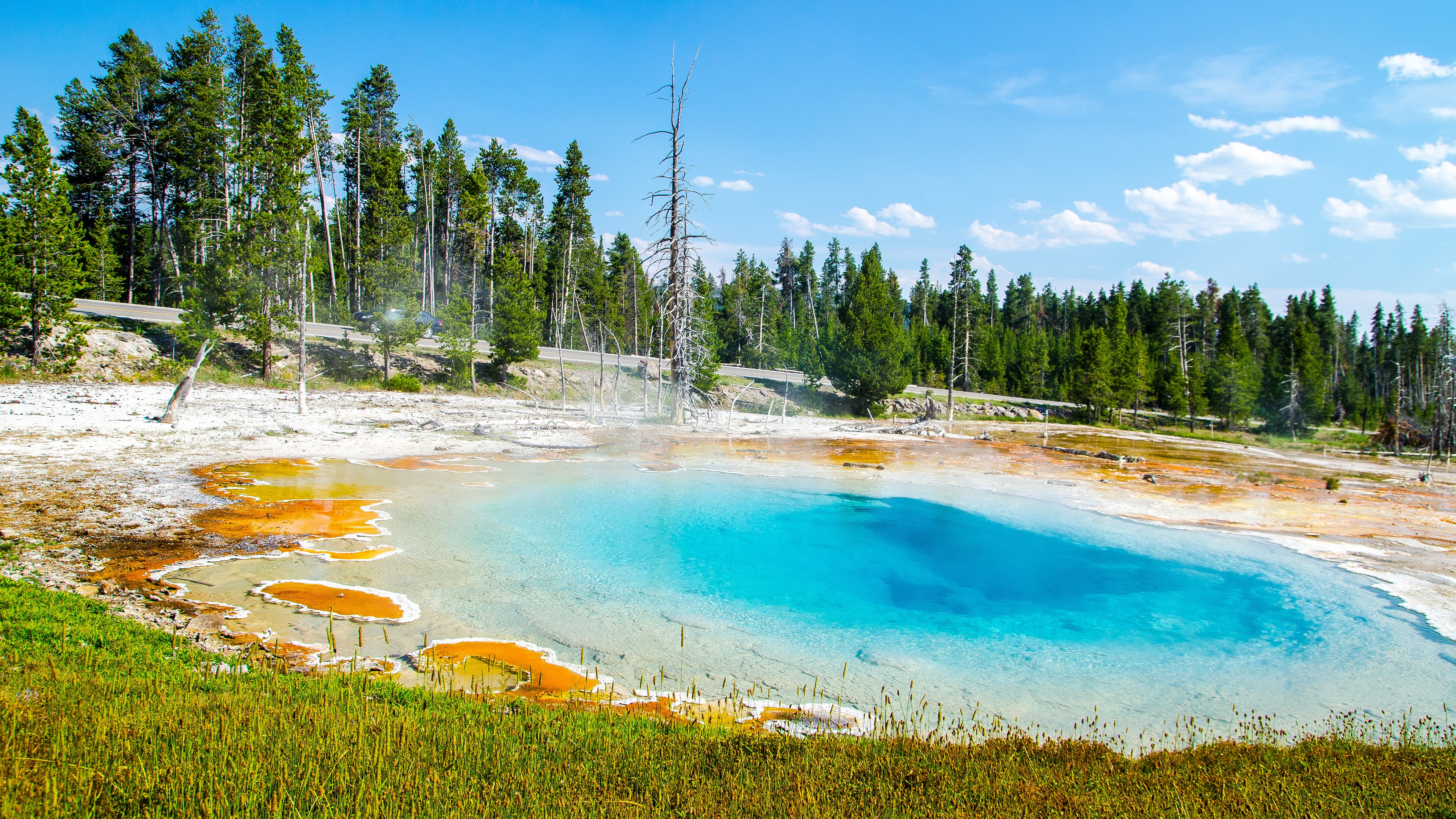 Turquoise hot spring with orange mineral deposits and pine forest HD Wallpaper