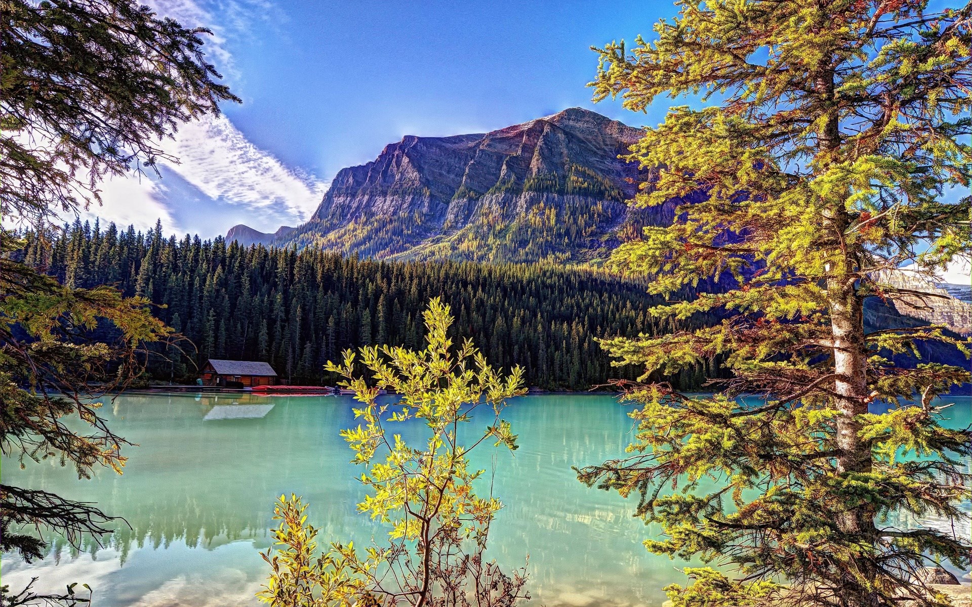 Lake Louise with Mountains and Forest HD Wallpaper