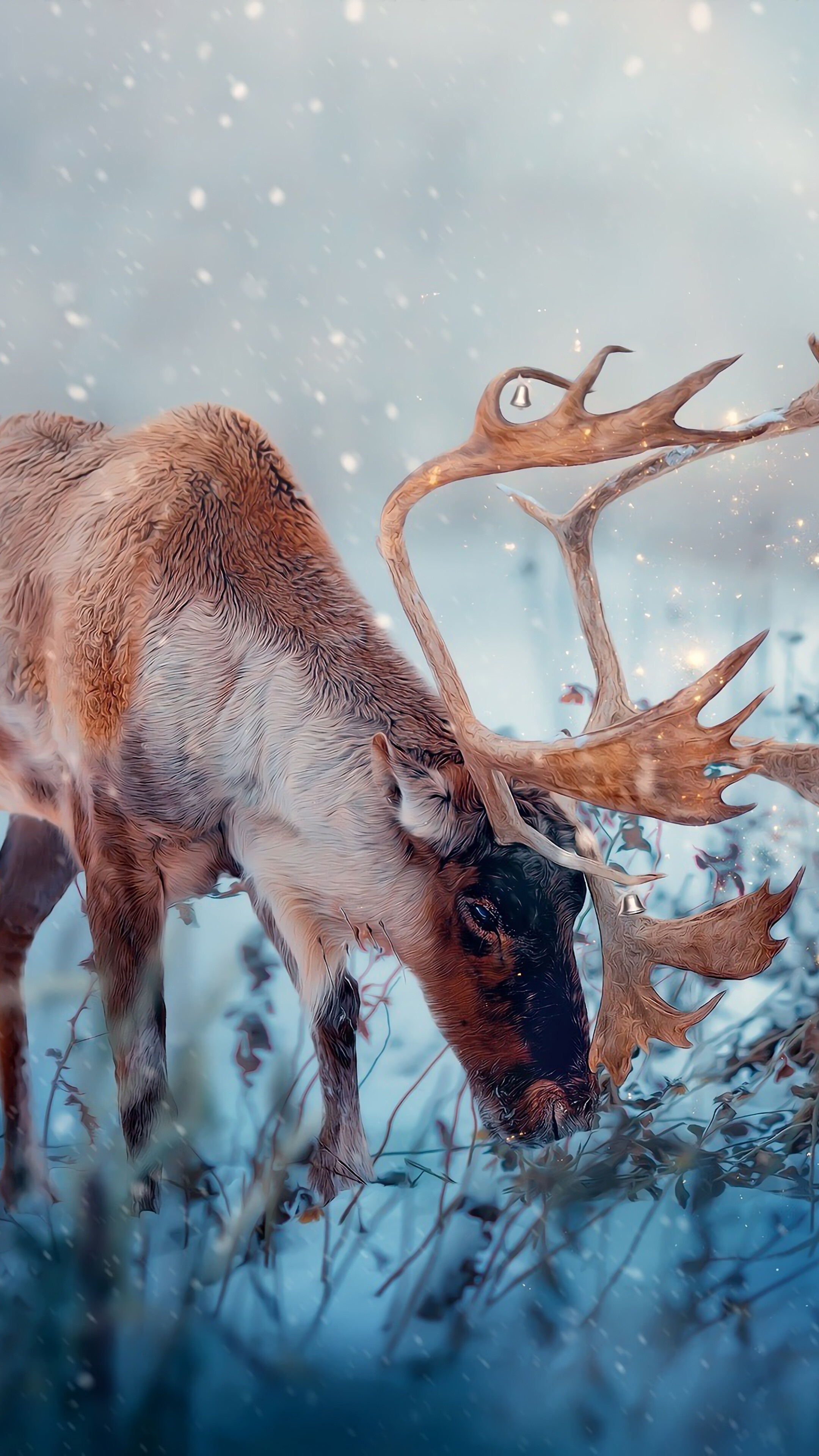 Reindeer in a Snowy Landscape with Bells HD Phone Wallpaper