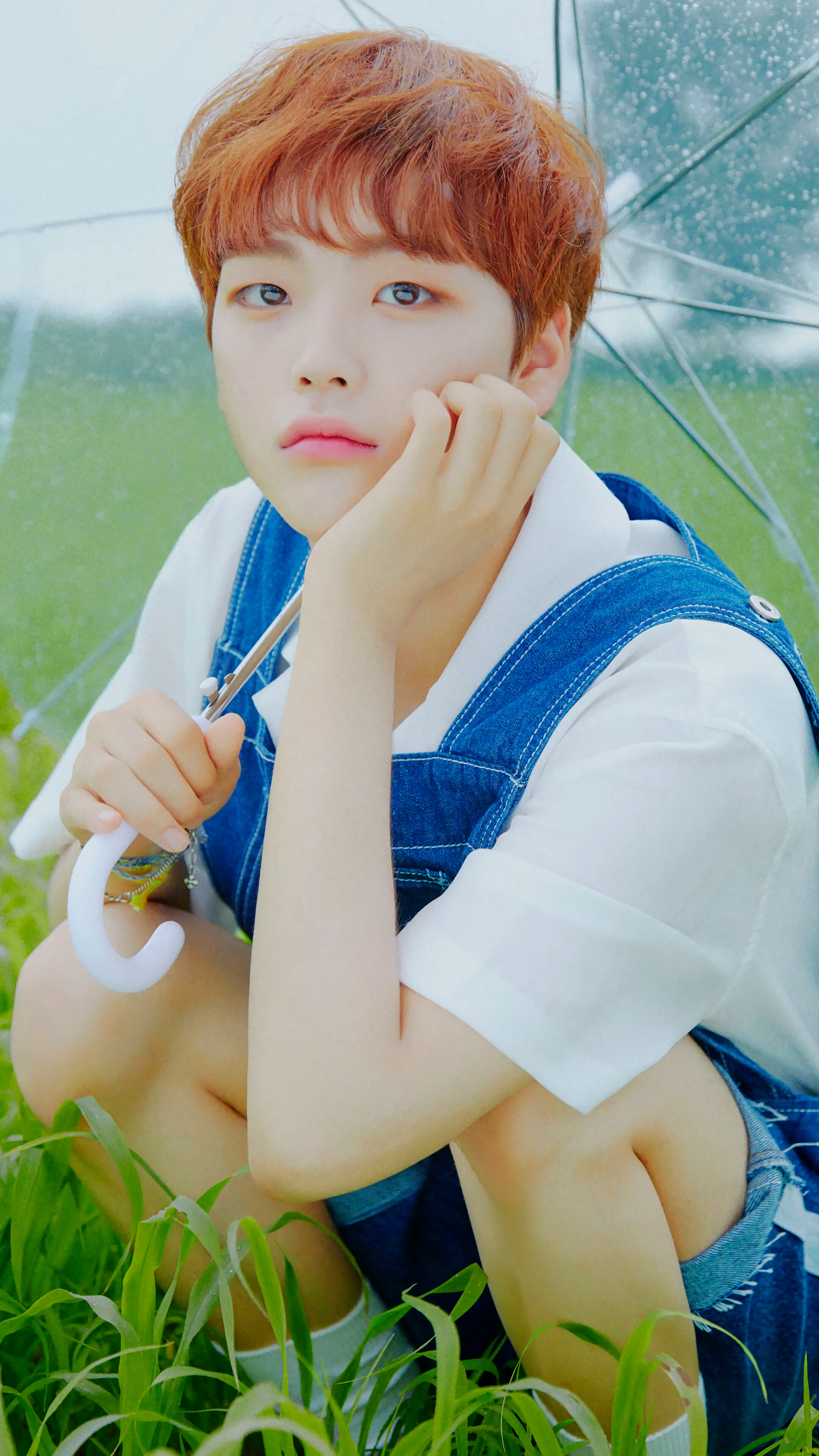 Song Hyeongjun holding an umbrella HD Phone Wallpaper