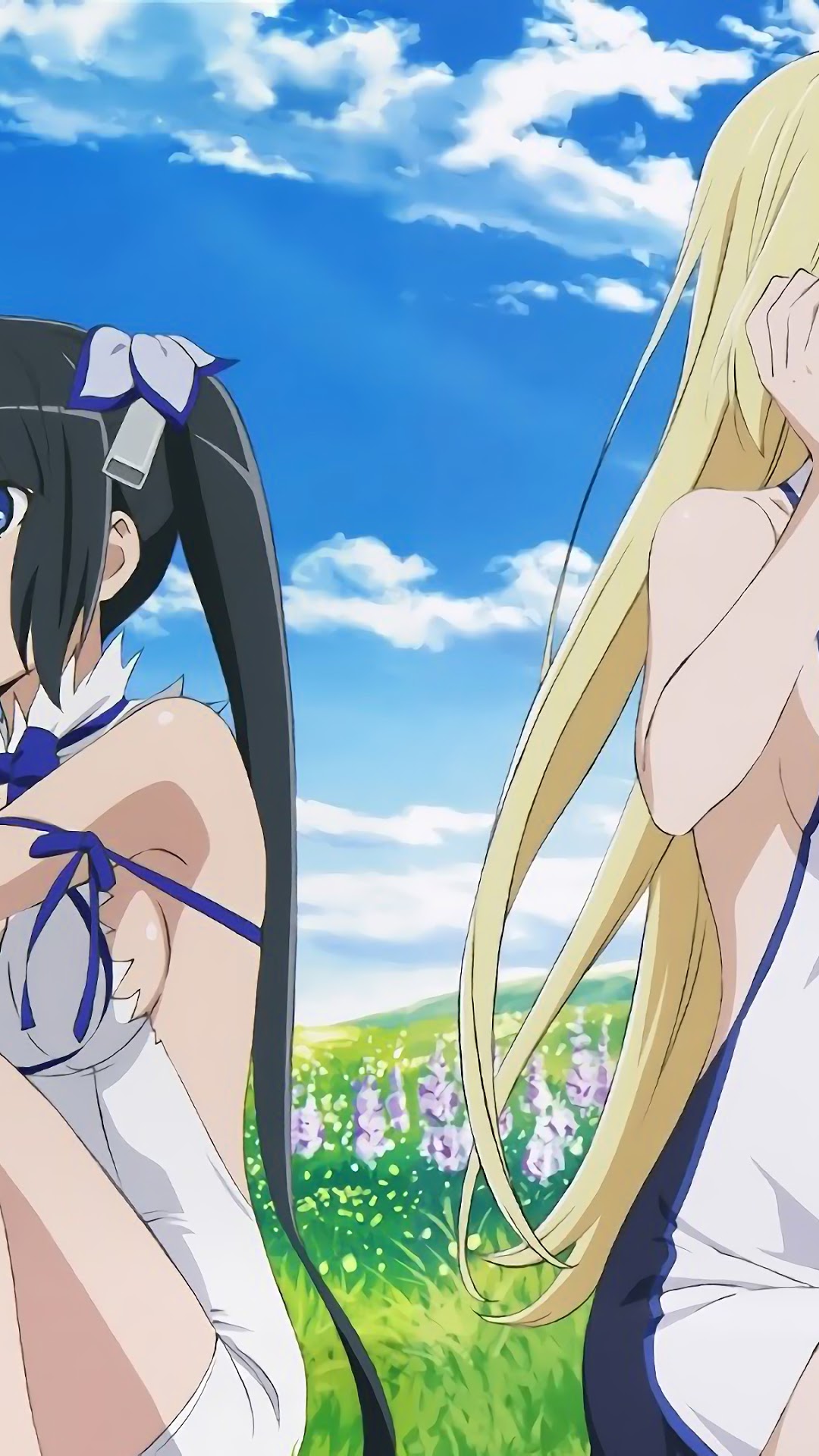 Hestia and Ais Wallenstein from DanMachi HD Phone Wallpaper