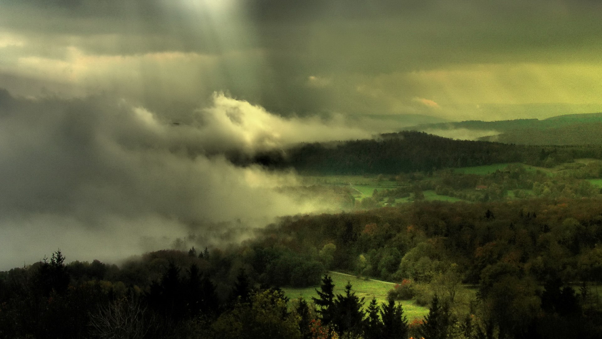 Misty forest valley with sunbeams HD Wallpaper