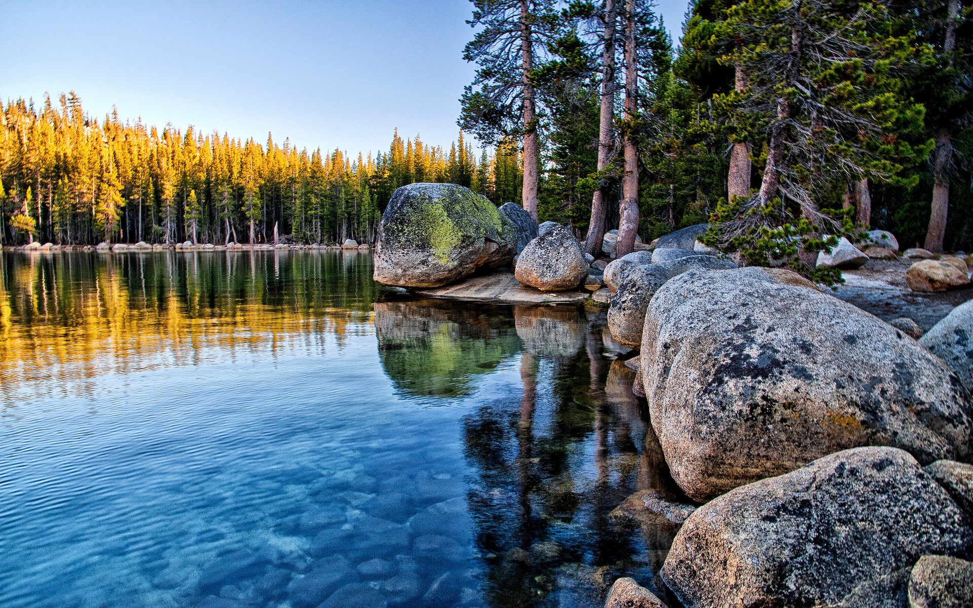 Lake with pine trees and boulders at sunrise HD Wallpaper