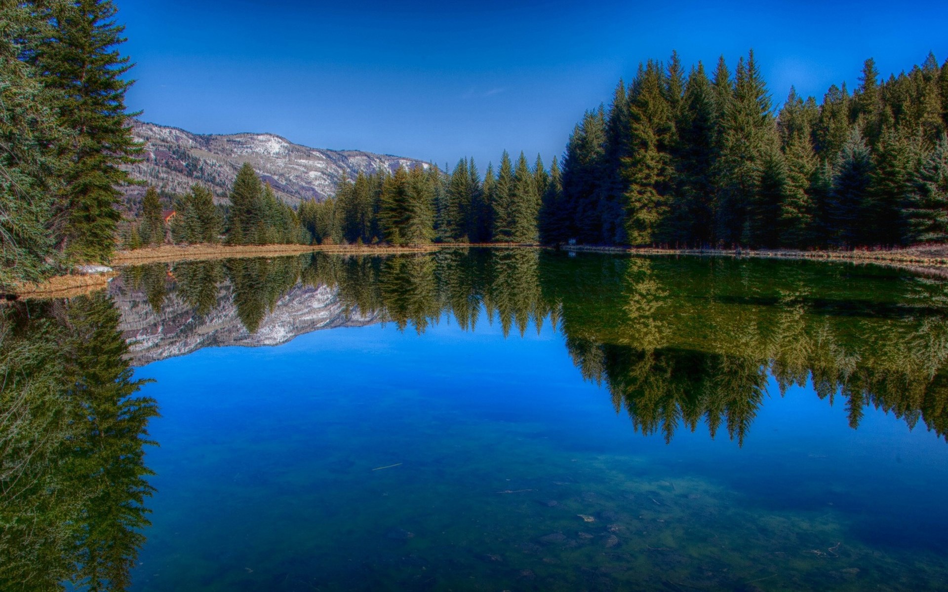 Lake reflecting pine trees and snow-capped mountains HD Wallpaper