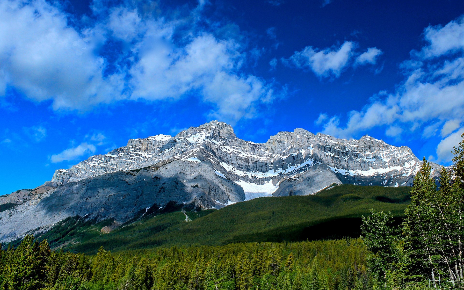 Snow-capped mountain range above a dense forest HD Wallpaper
