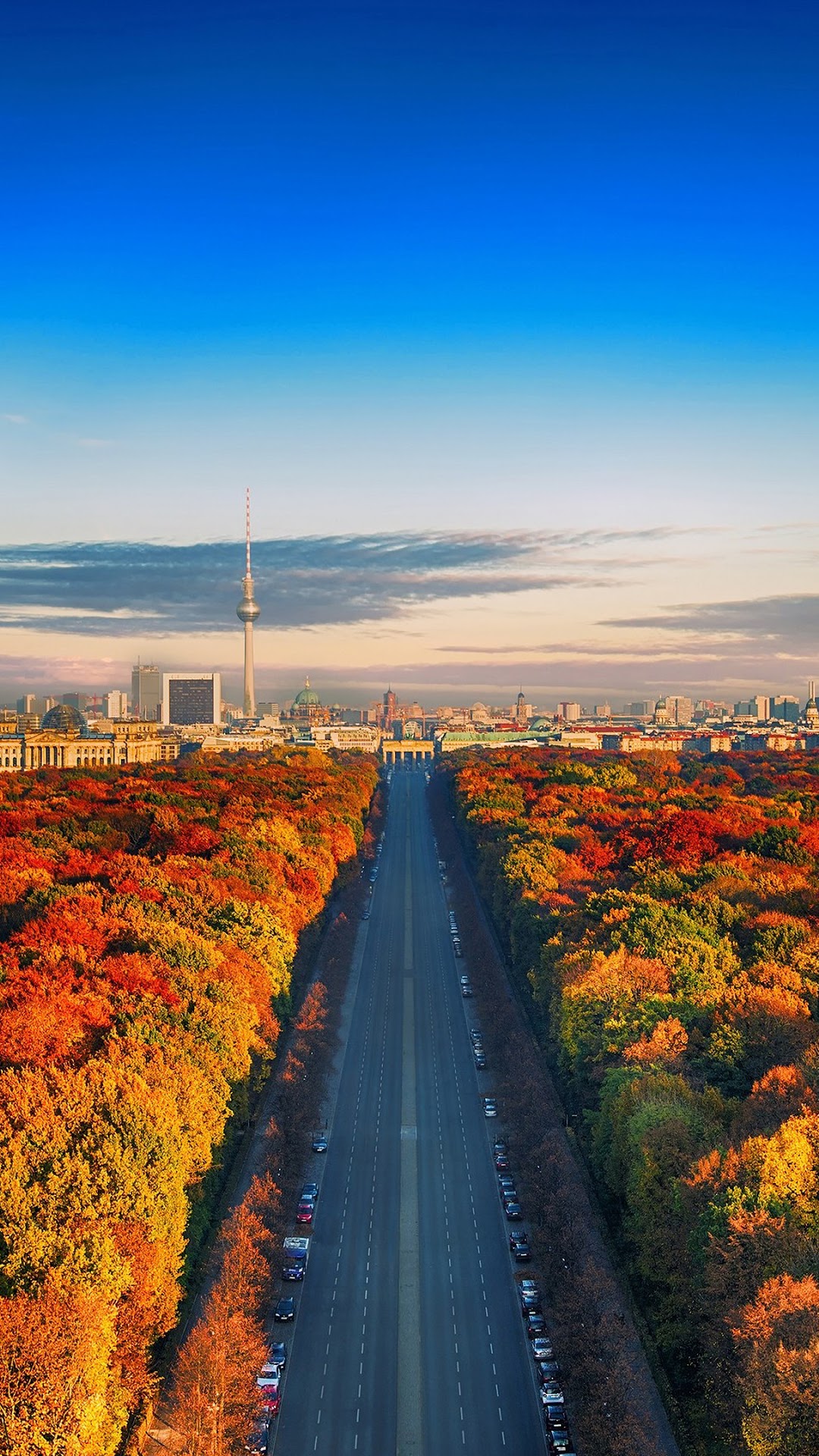 Berlin cityscape with TV Tower and autumn trees HD Phone Wallpaper