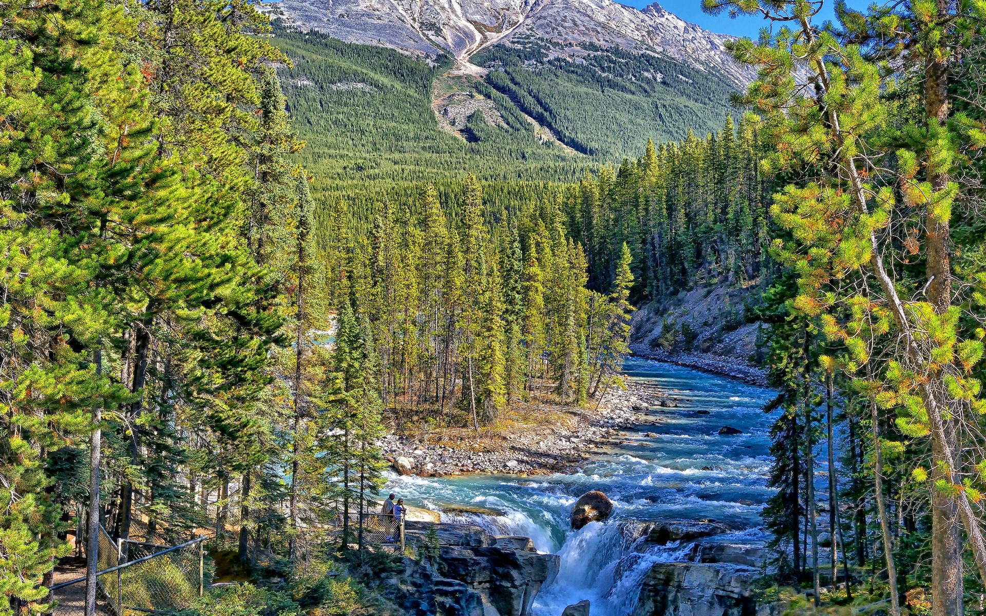 Waterfall and river in a forest with mountains HD Wallpaper