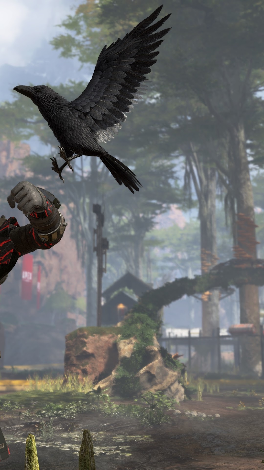 Bloodhound from Apex Legends with a raven HD Phone Wallpaper