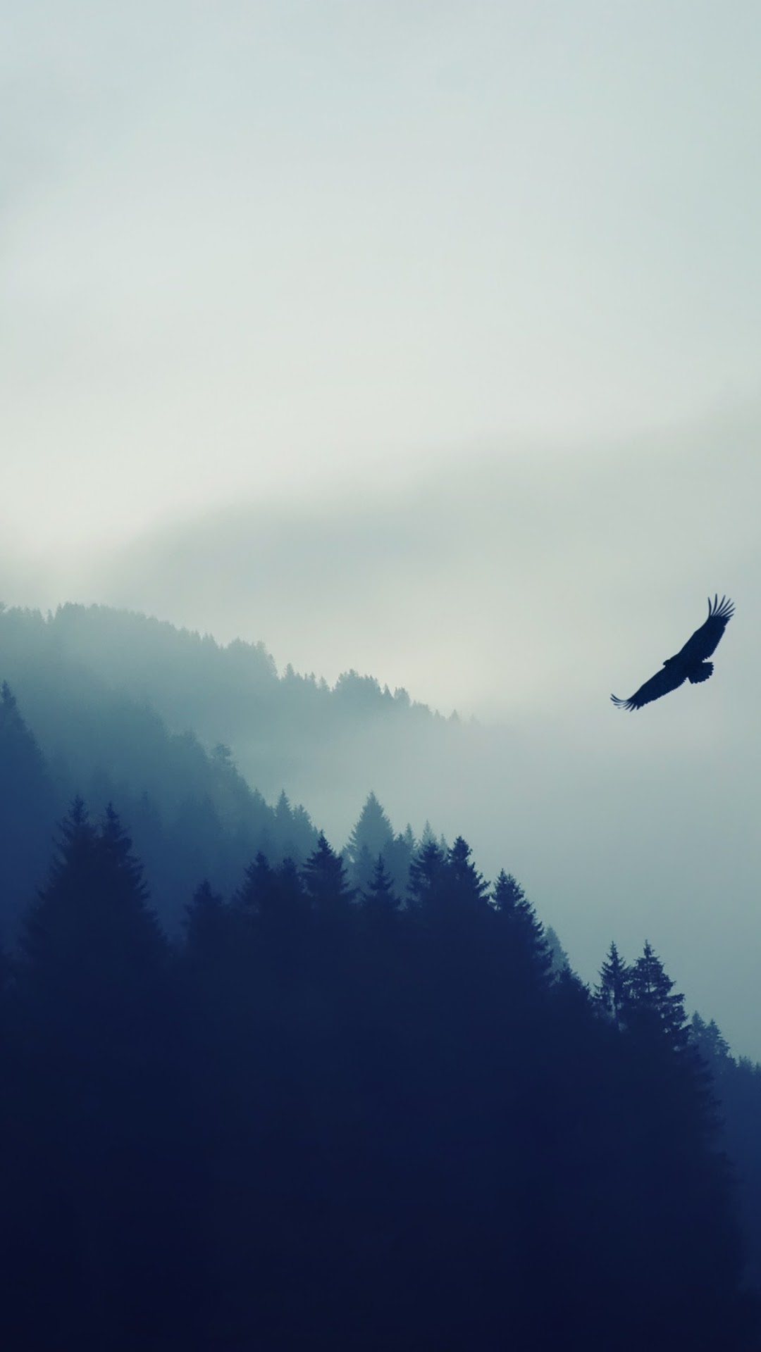 Eagle flying over misty mountains and forest HD Phone Wallpaper