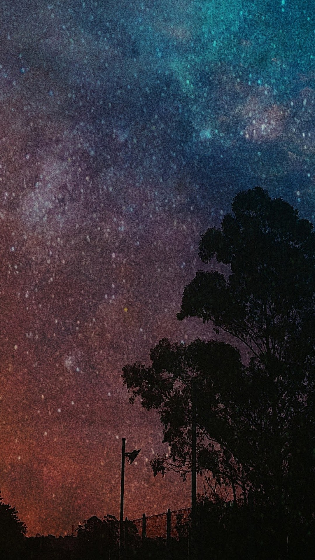 Night sky with stars and silhouette of trees HD Phone Wallpaper