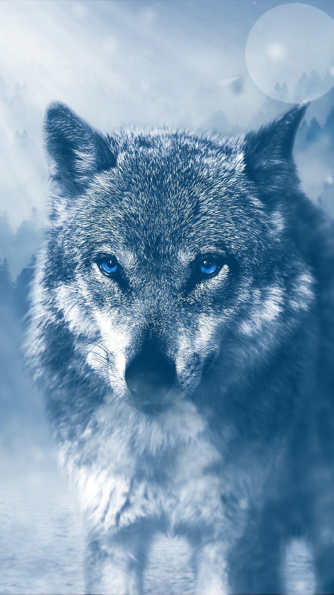 Wolf with blue eyes in a foggy forest HD Phone Wallpaper