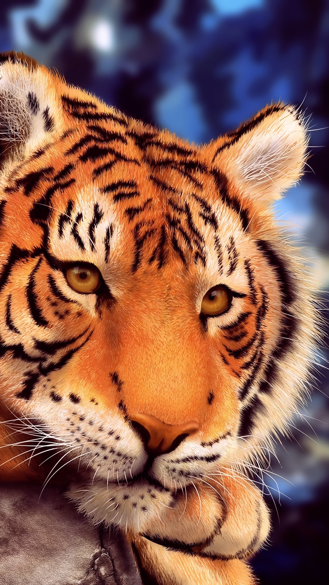 Close-up of a tiger's face HD Phone Wallpaper