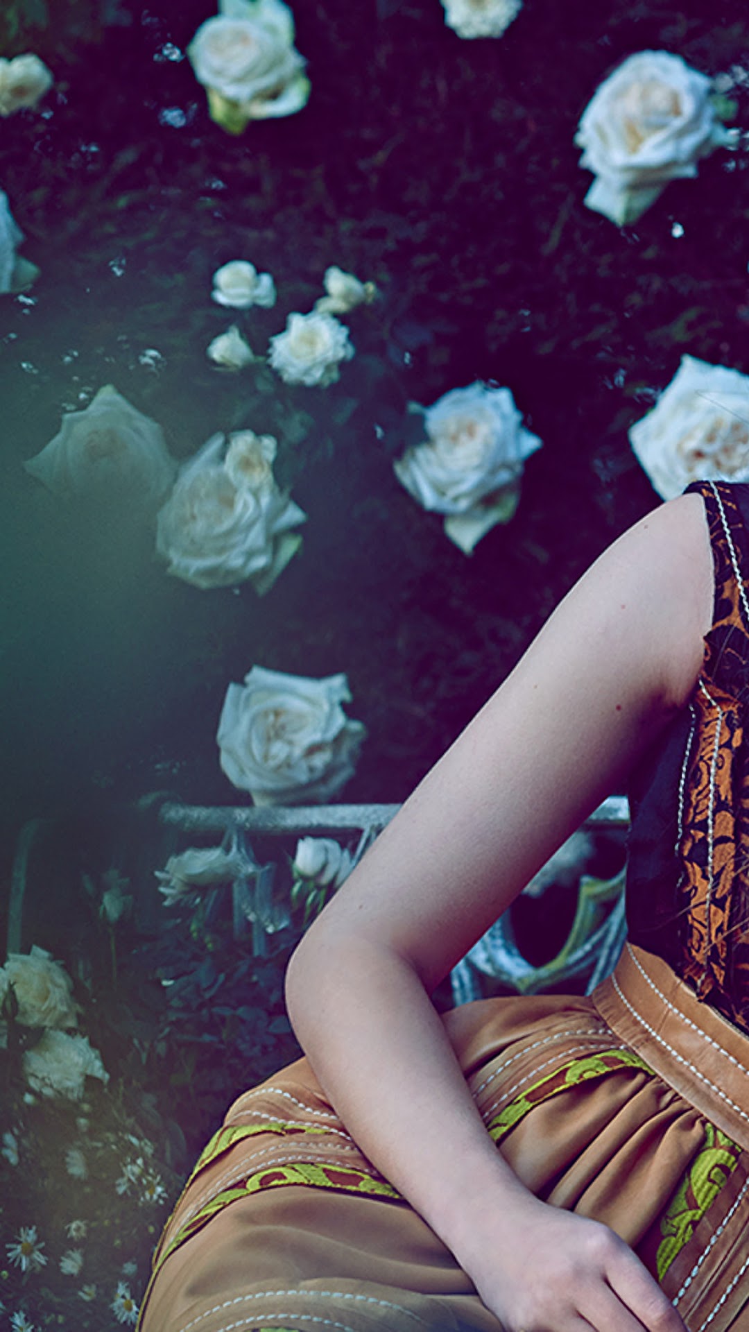 Sophie Turner in a garden with white roses HD Phone Wallpaper