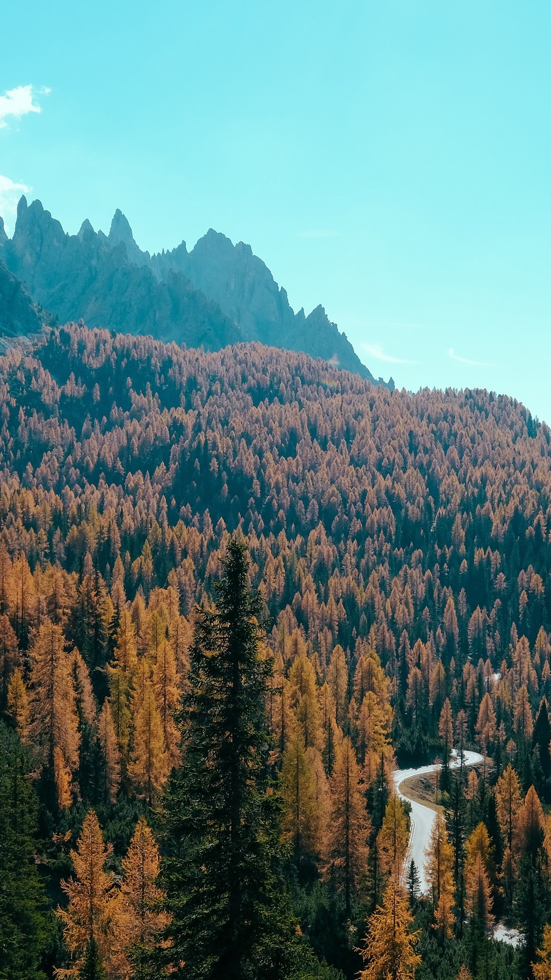 Autumn forest on a mountainside with a winding road HD Phone Wallpaper
