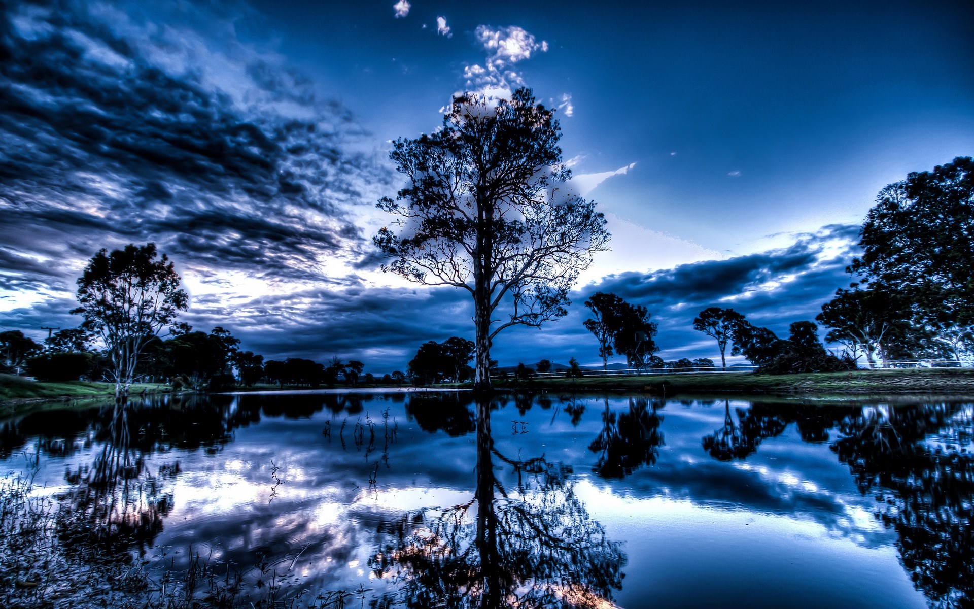 Tree reflected in a lake at dusk HD Wallpaper