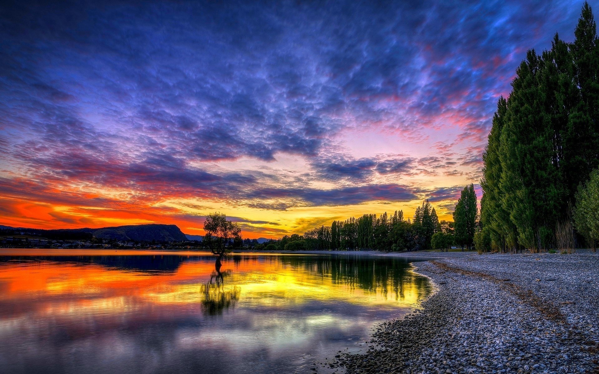 Sunset over a lake with a lone tree HD Wallpaper