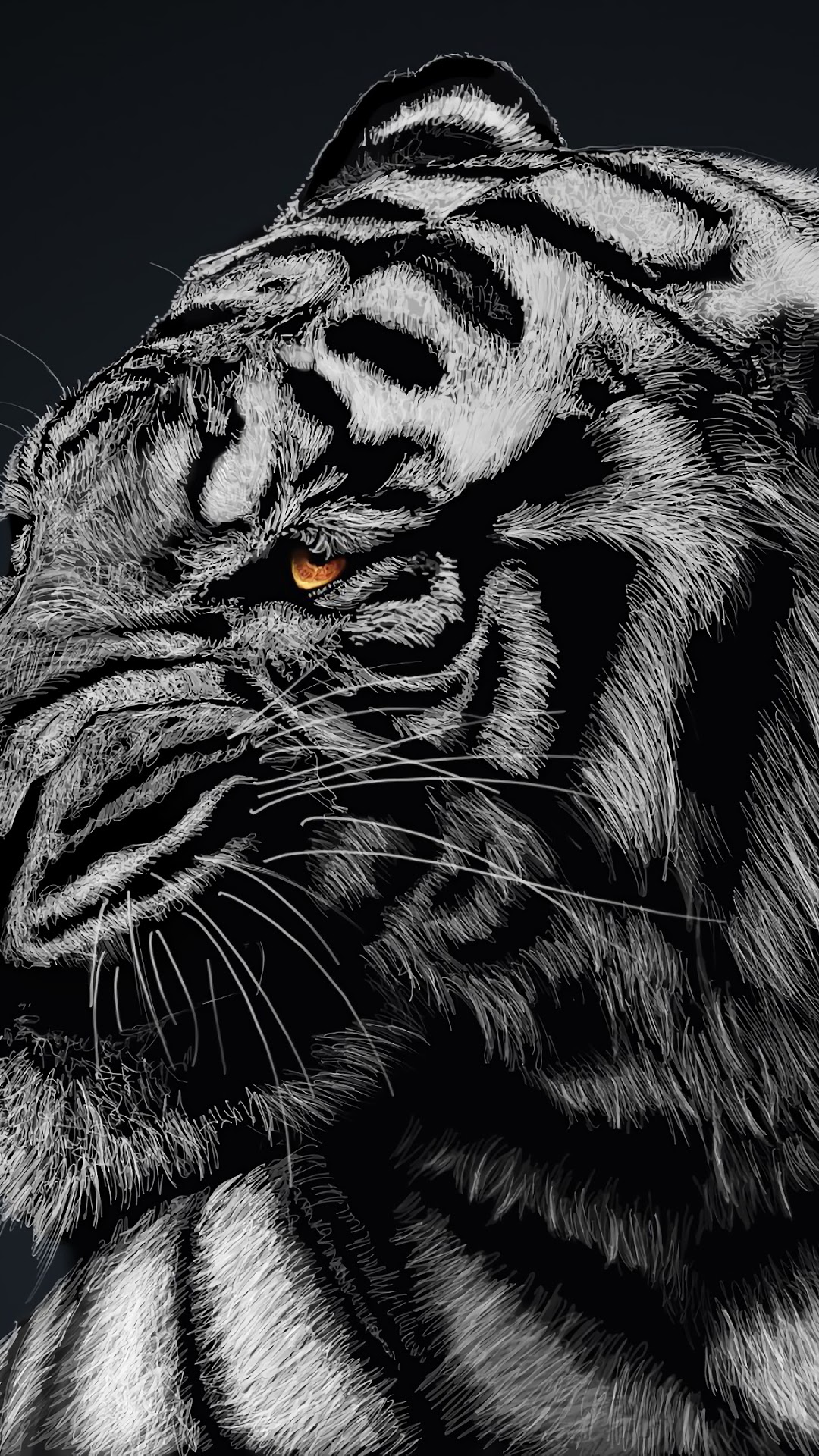 Close-up of a white tiger's face HD Phone Wallpaper