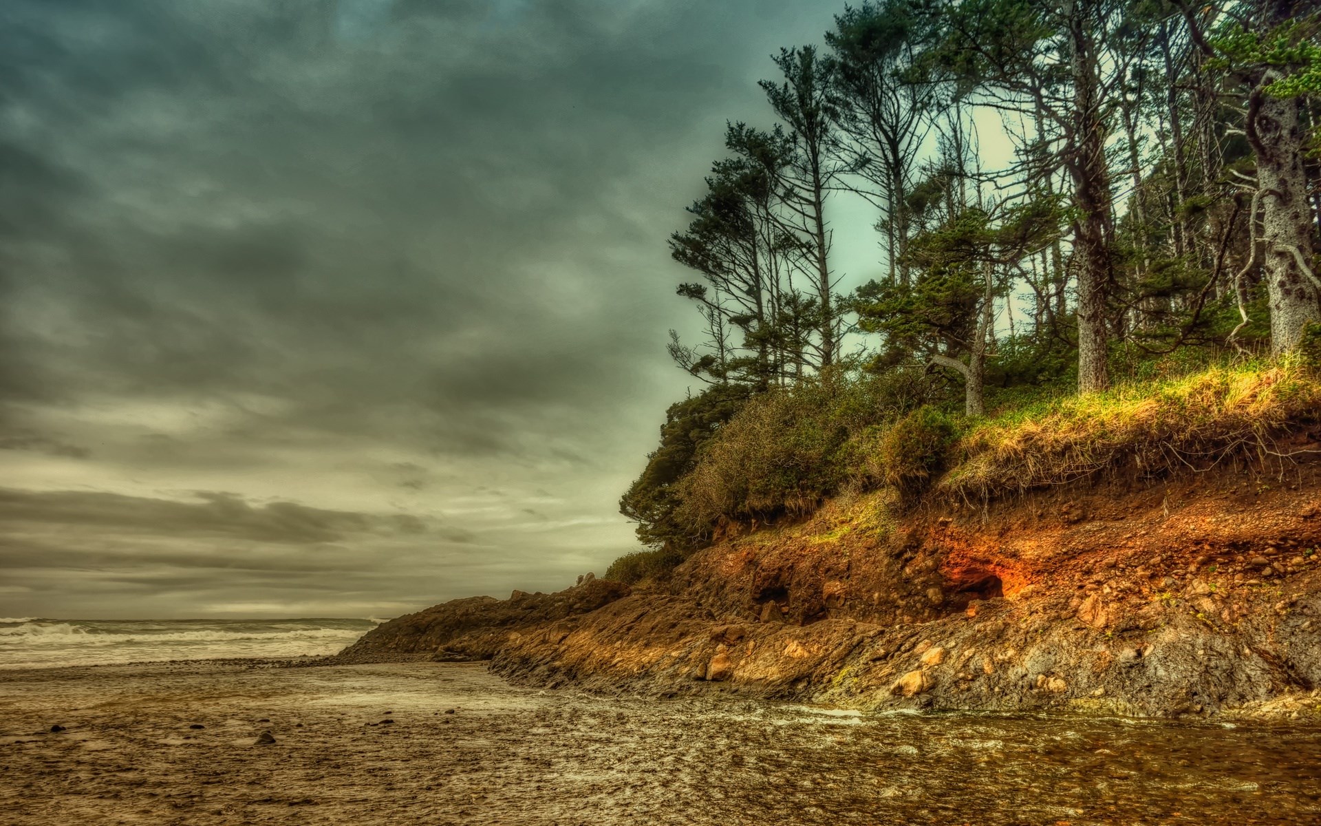 Trees on a rocky coastline under a cloudy sky HD Wallpaper
