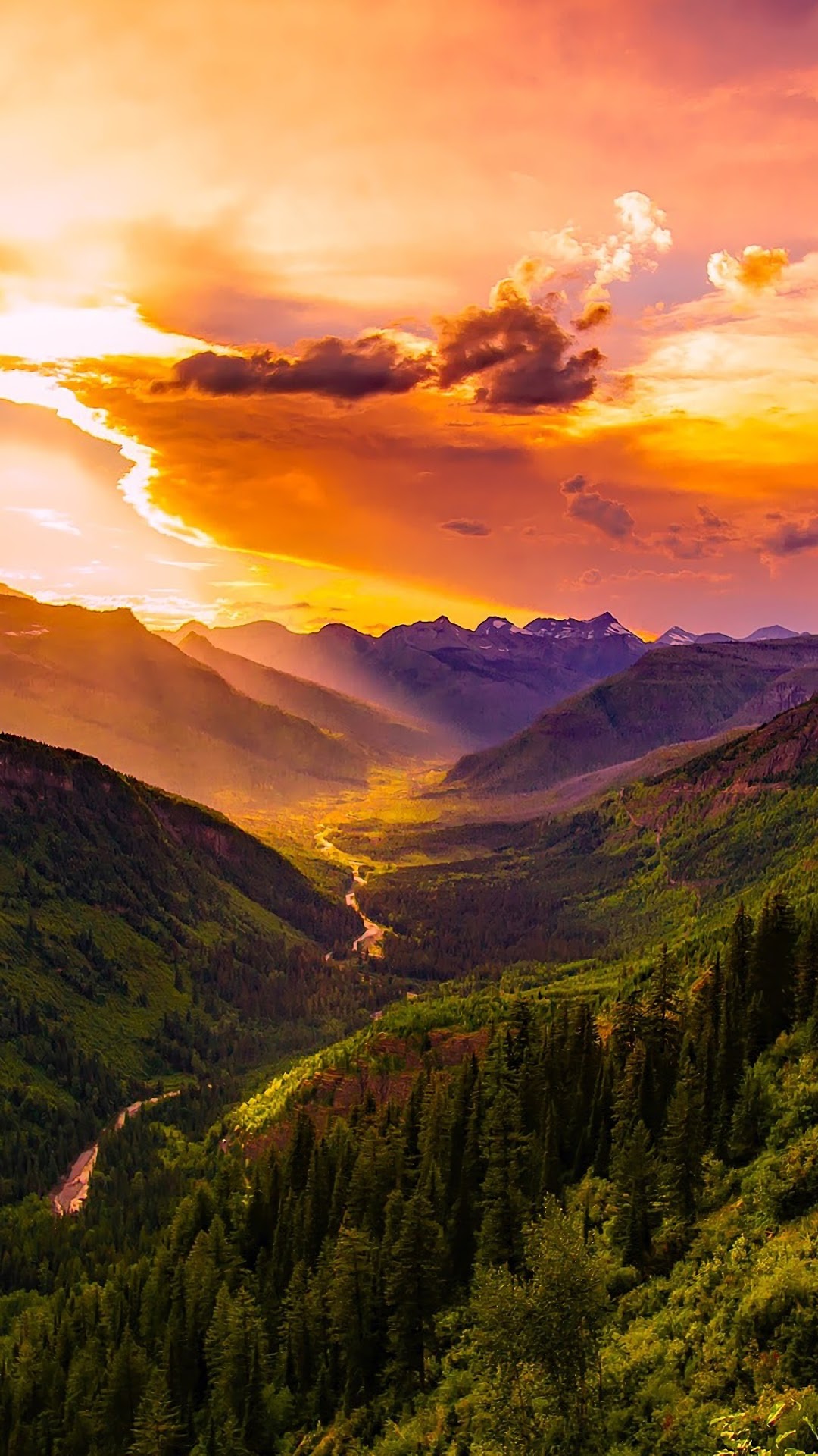 Mountain valley with forest and sunset sky HD Phone Wallpaper