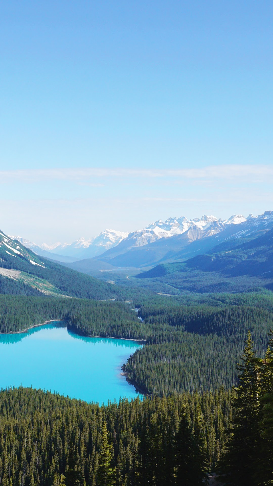 Turquoise Lake Surrounded by Forest and Snow-Capped Mountains HD Phone Wallpaper