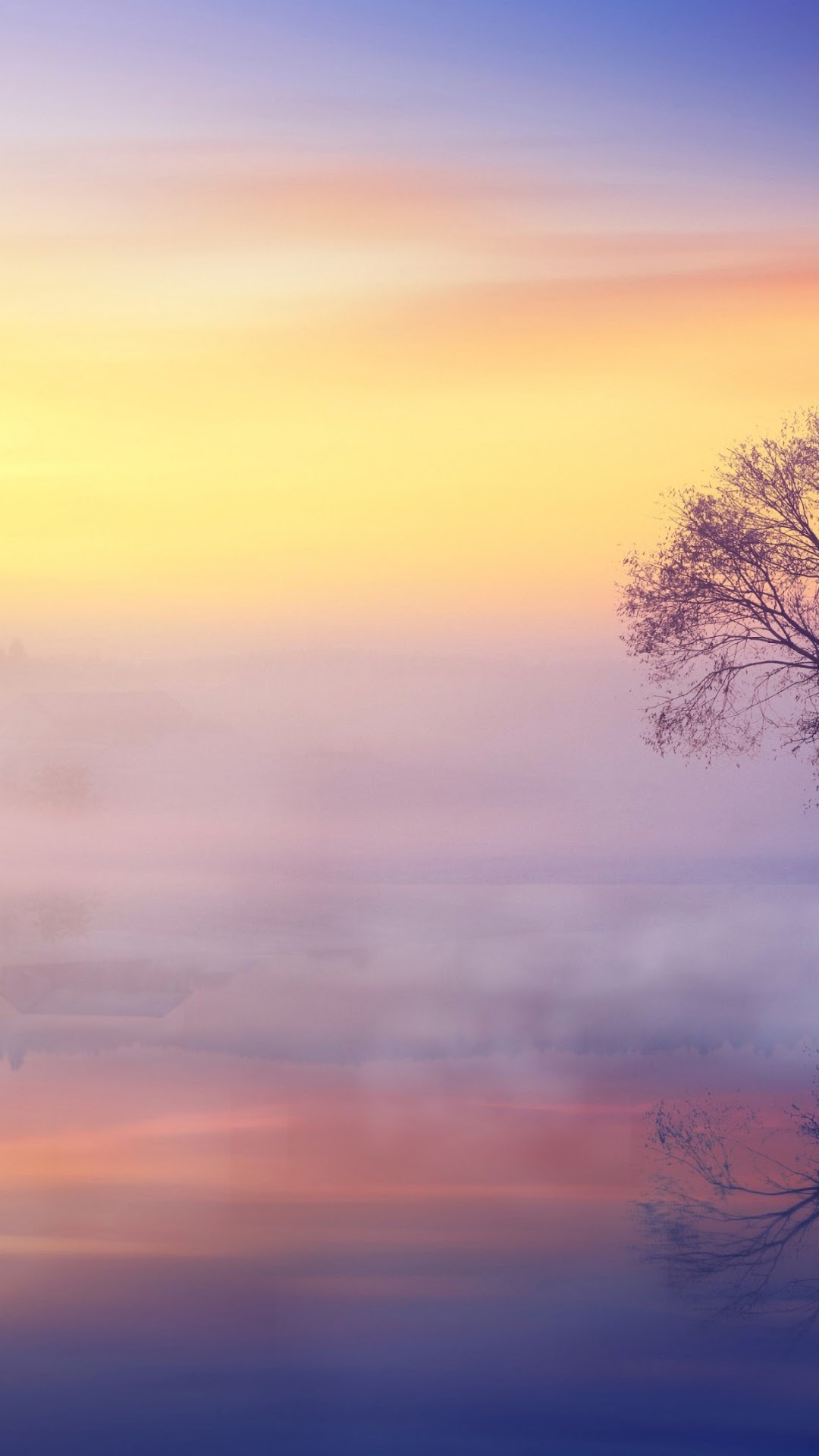 Misty sunrise over a calm lake with a lone tree HD Phone Wallpaper