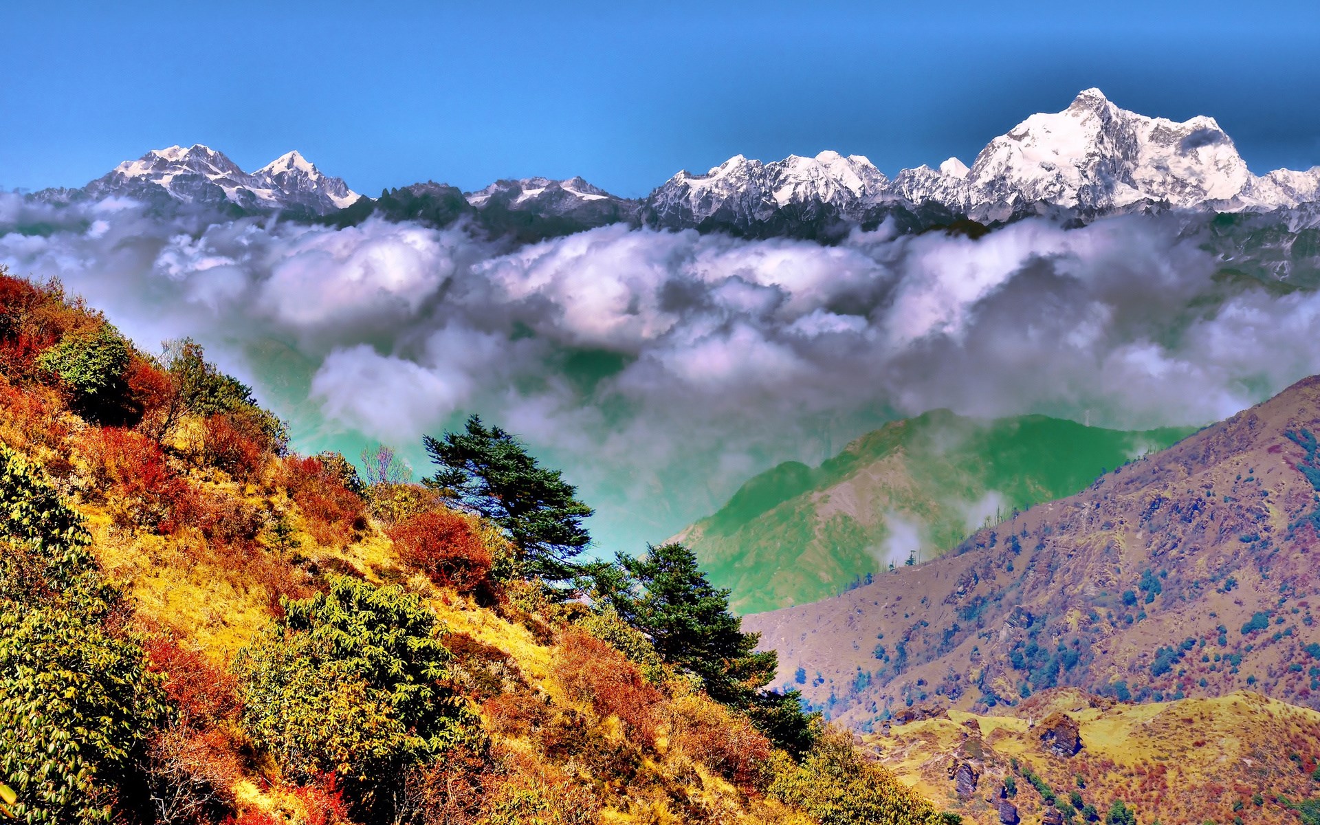 Snow-capped mountains above clouds and autumn foliage HD Wallpaper