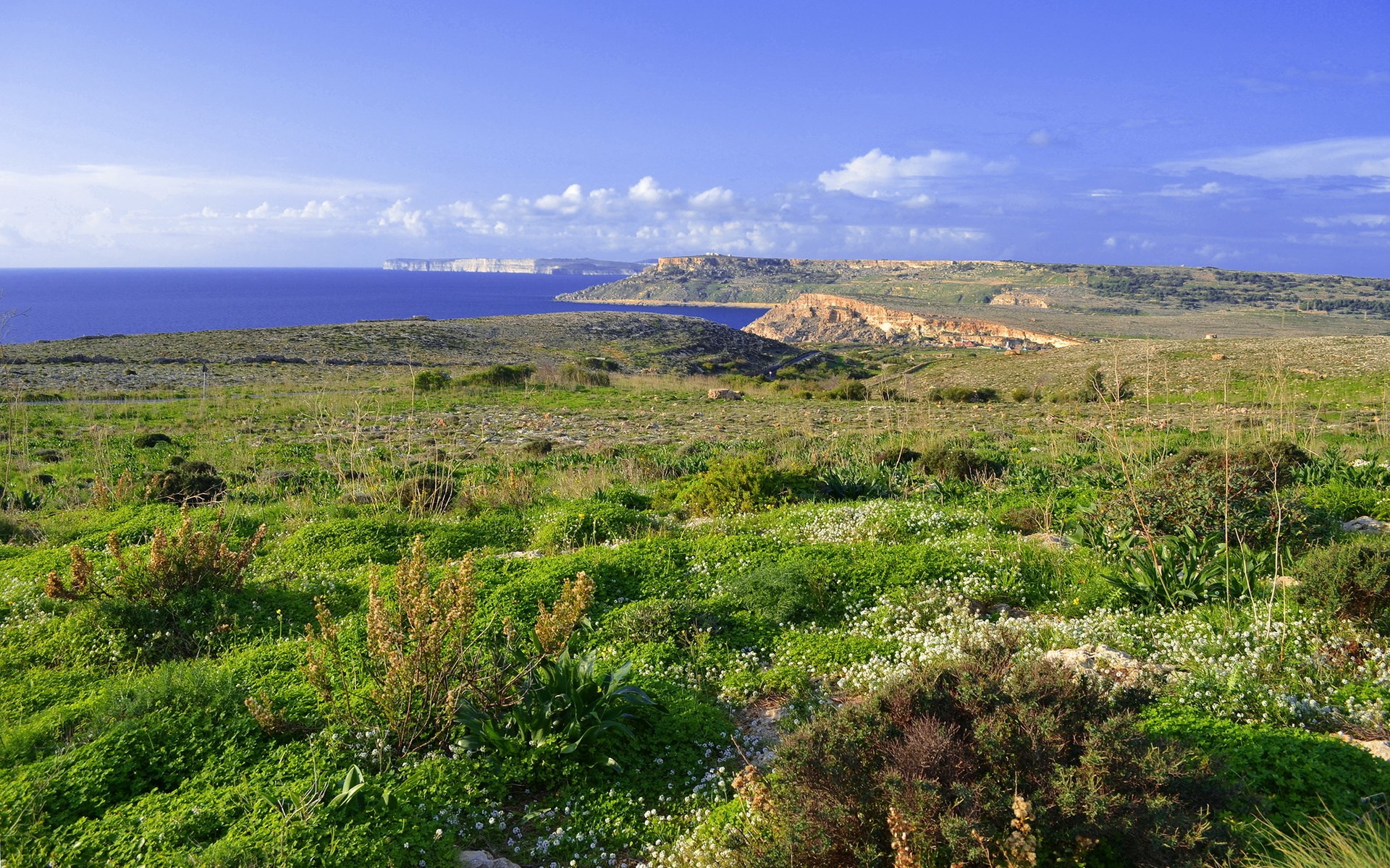 Coastal landscape with cliffs and sea HD Wallpaper