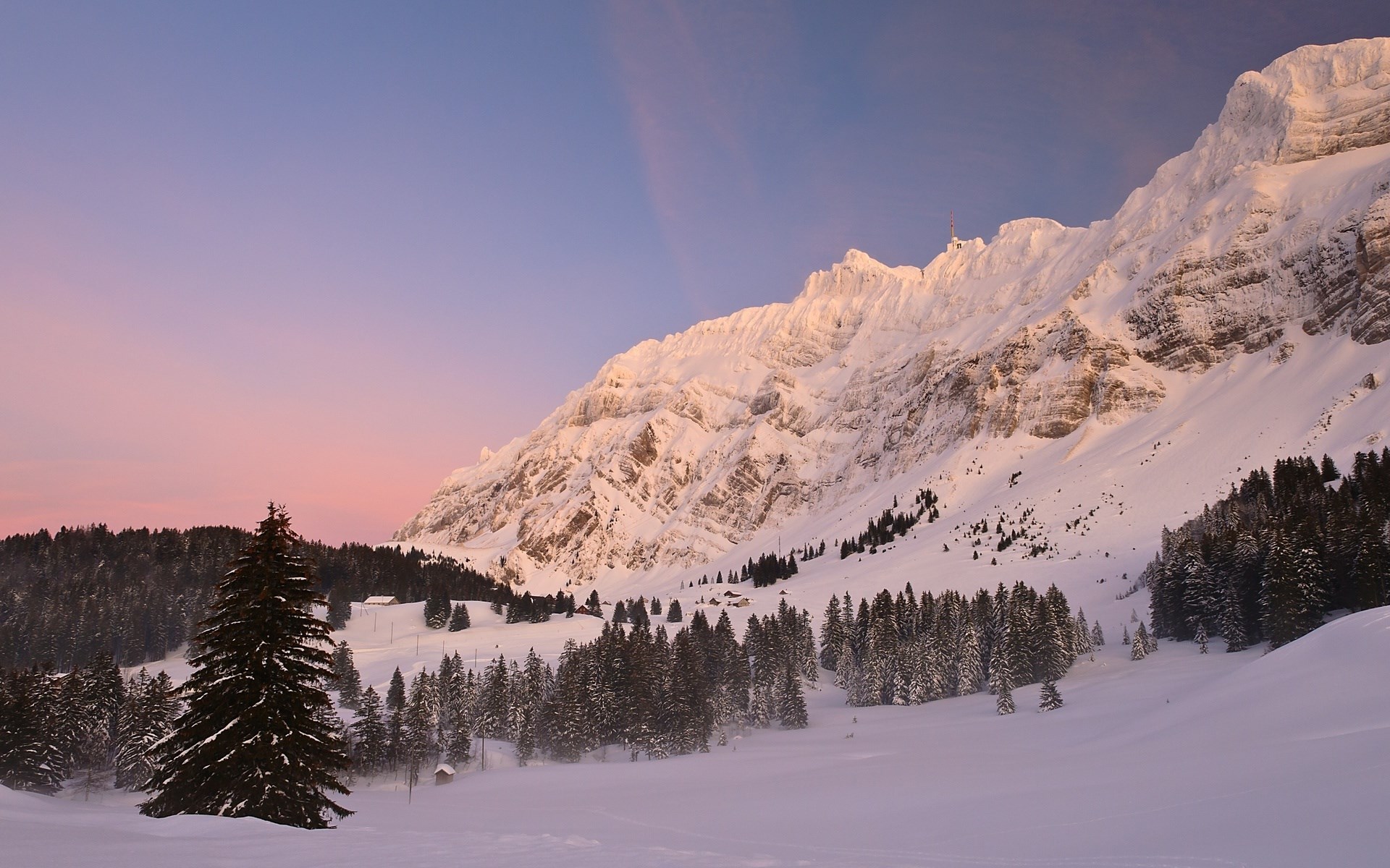 Snowy mountain range at sunrise with pine trees HD Wallpaper