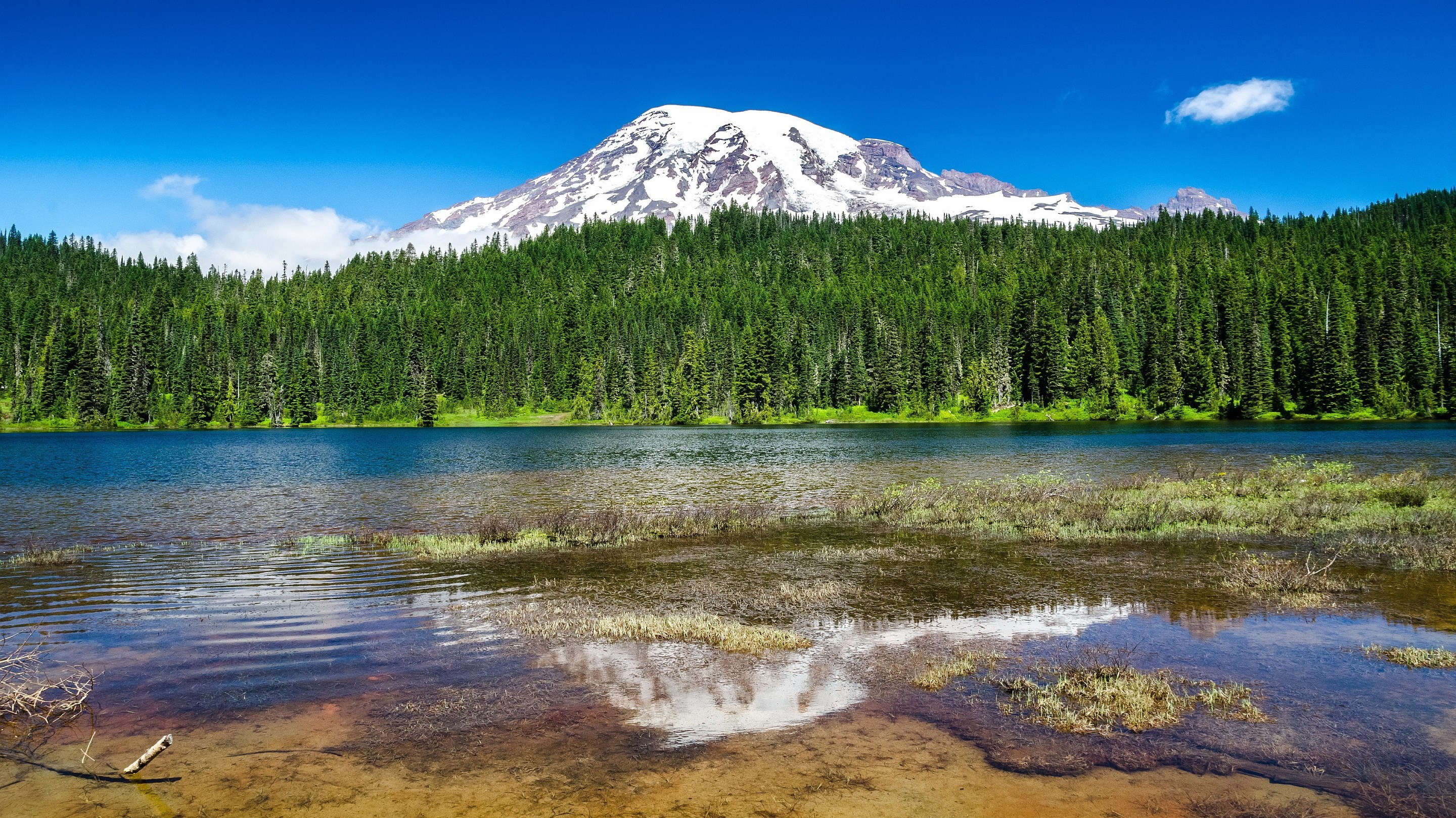 Mount Rainier reflected in a lake with evergreen forest HD Wallpaper