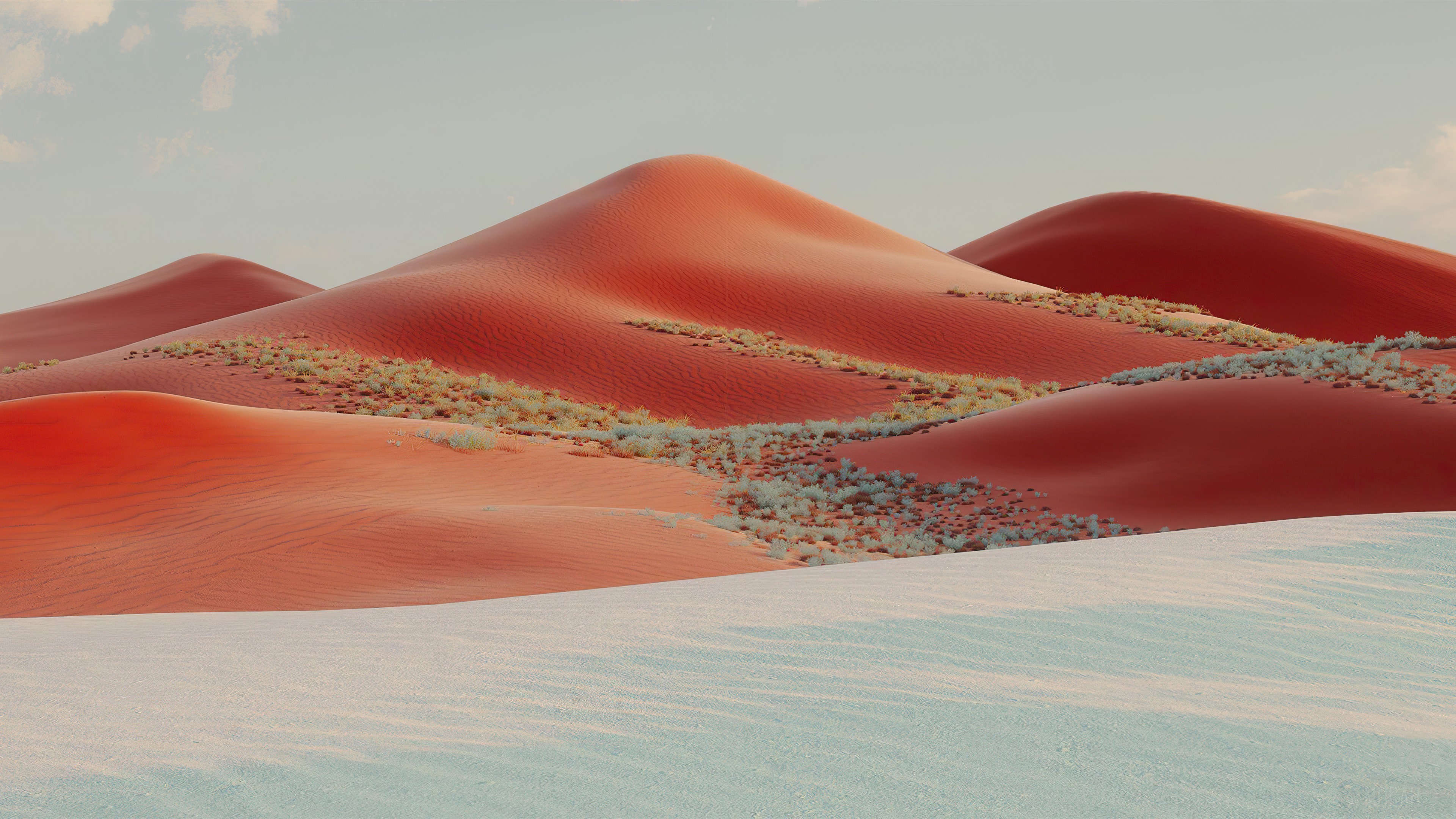 Desert landscape with red sand dunes and sparse vegetation HD Wallpaper