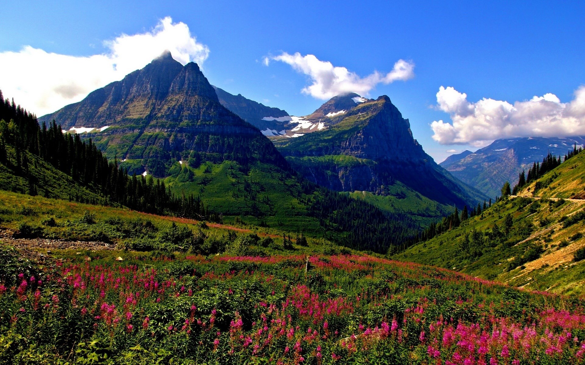 Mountain landscape with wildflowers and clouds HD Wallpaper