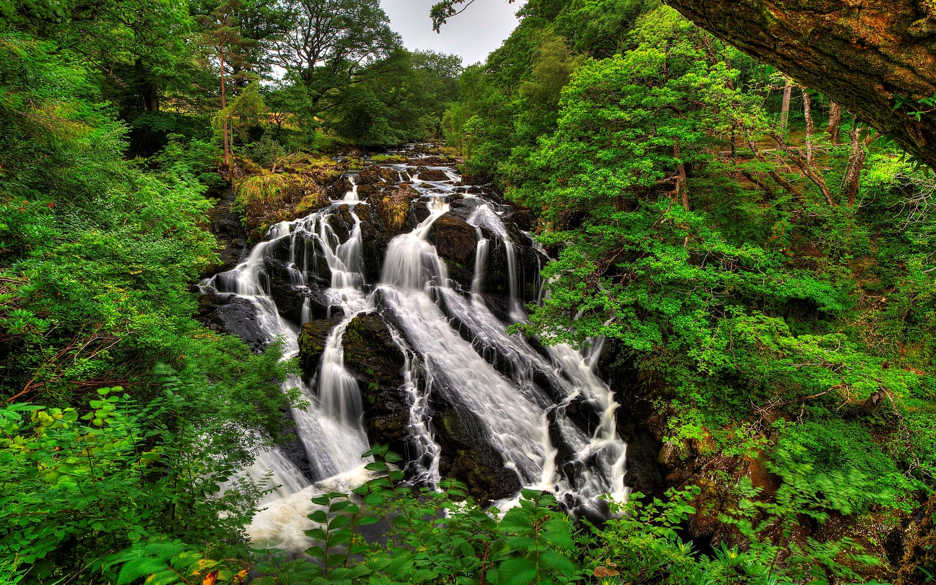 Waterfall cascading through a lush green forest HD Wallpaper