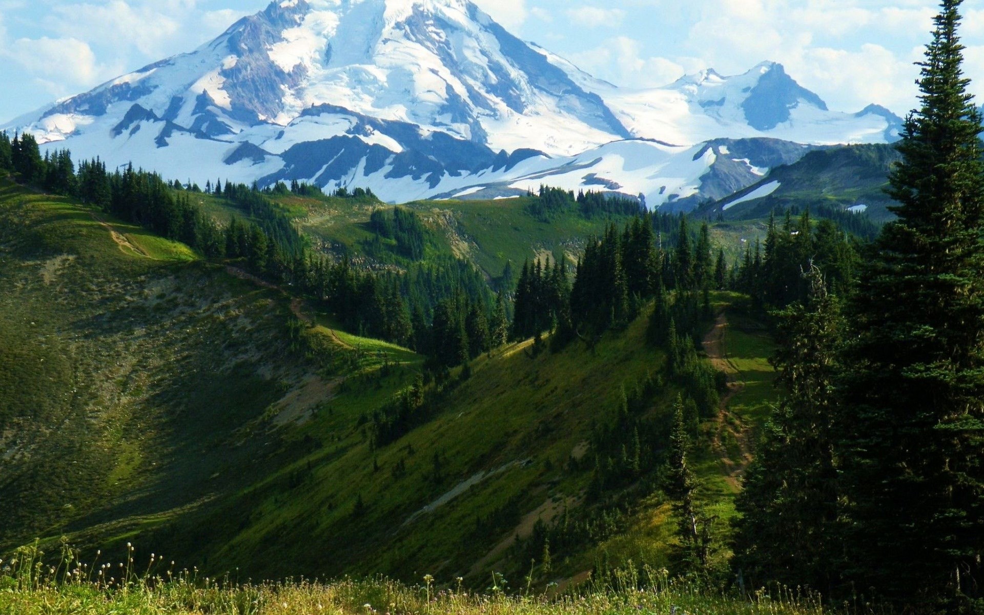 Snow-capped mountain range above green hills and pine trees HD Wallpaper