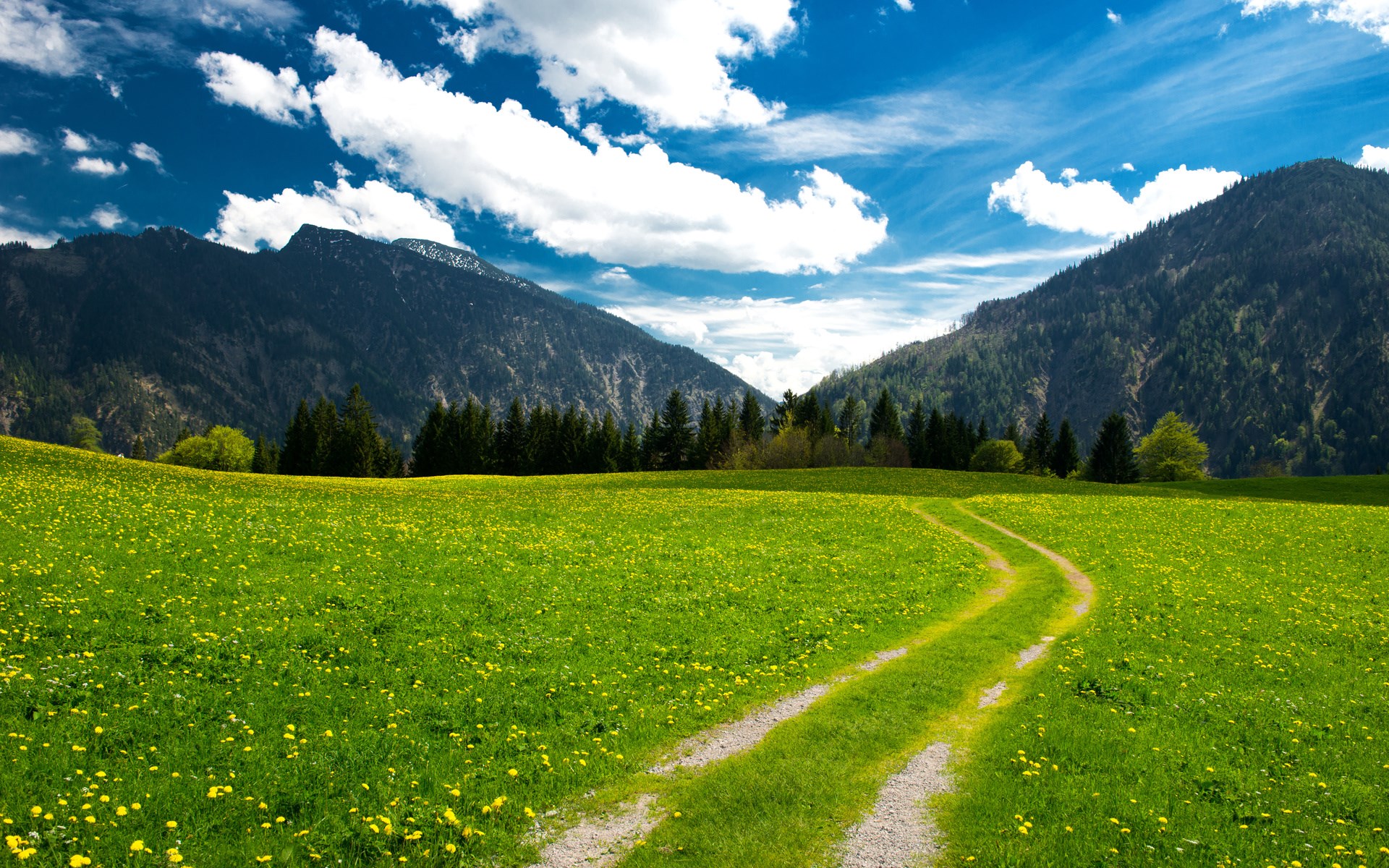 A winding dirt path through a green meadow with yellow flowers and mountains. HD Wallpaper