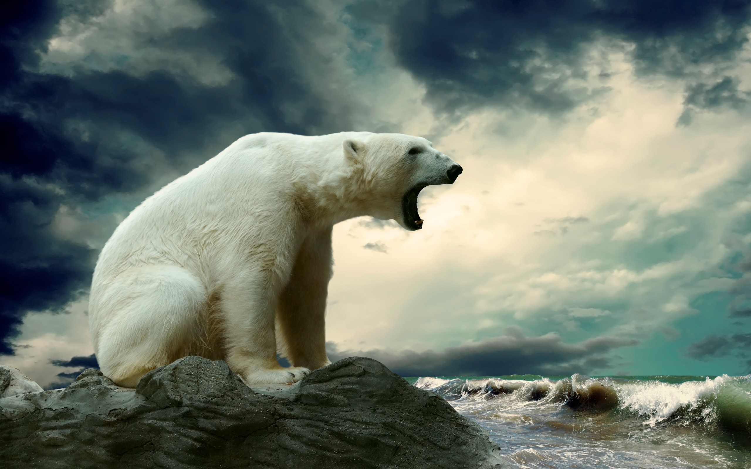 Polar bear roaring on a rock by the ocean HD Wallpaper