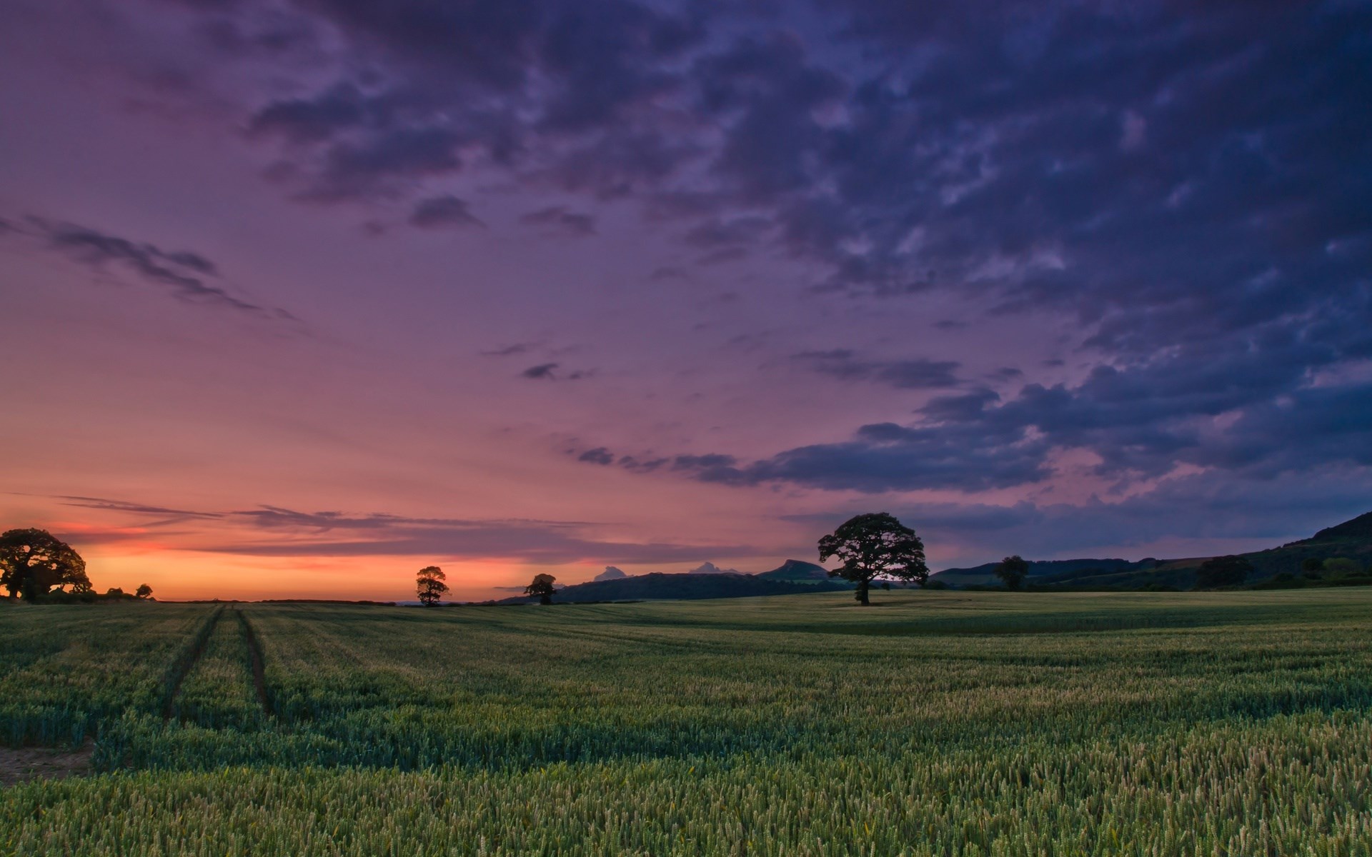 Field at sunset with trees and mountains HD Wallpaper