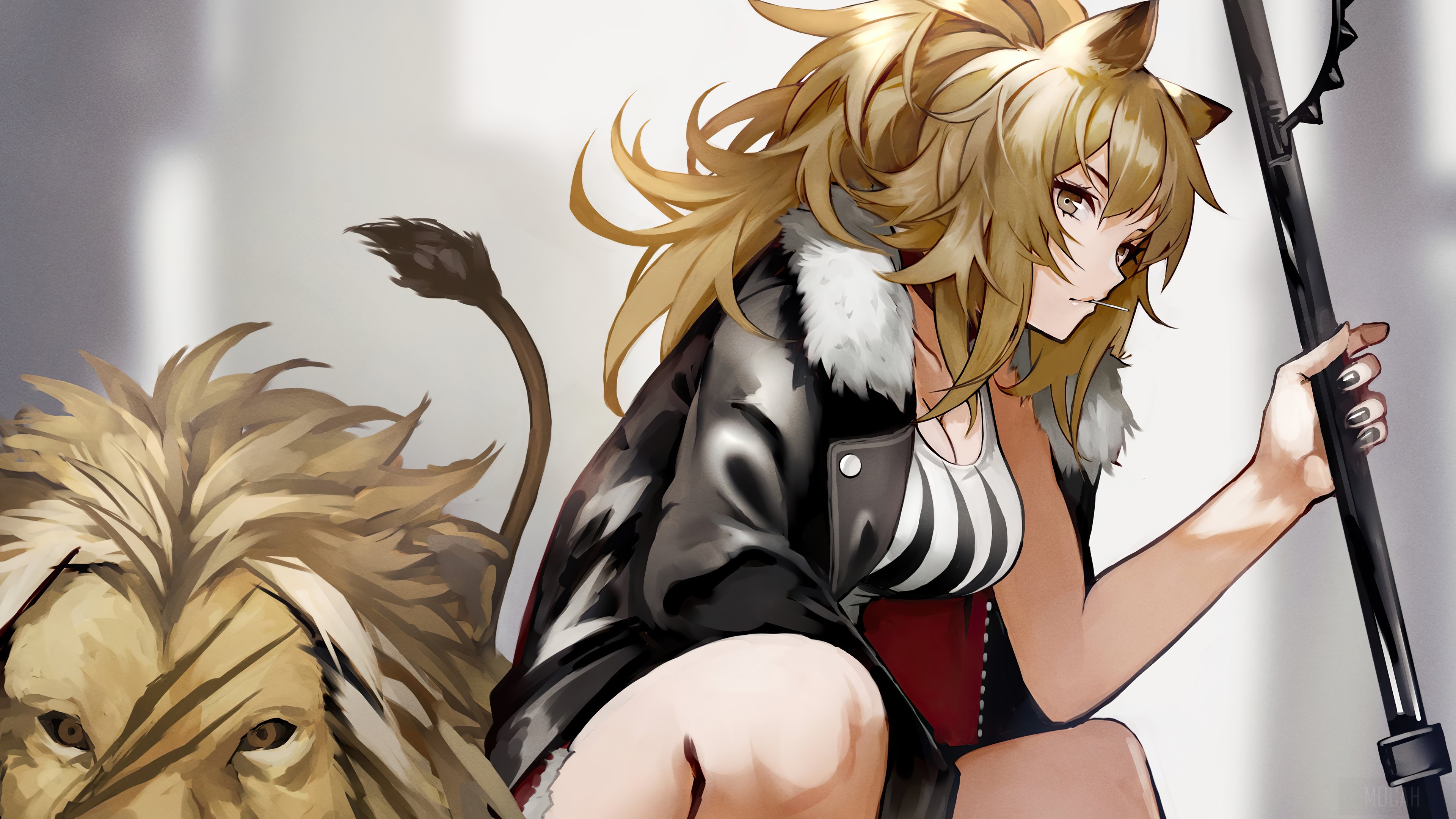 Siege from Arknights with a lion HD Wallpaper