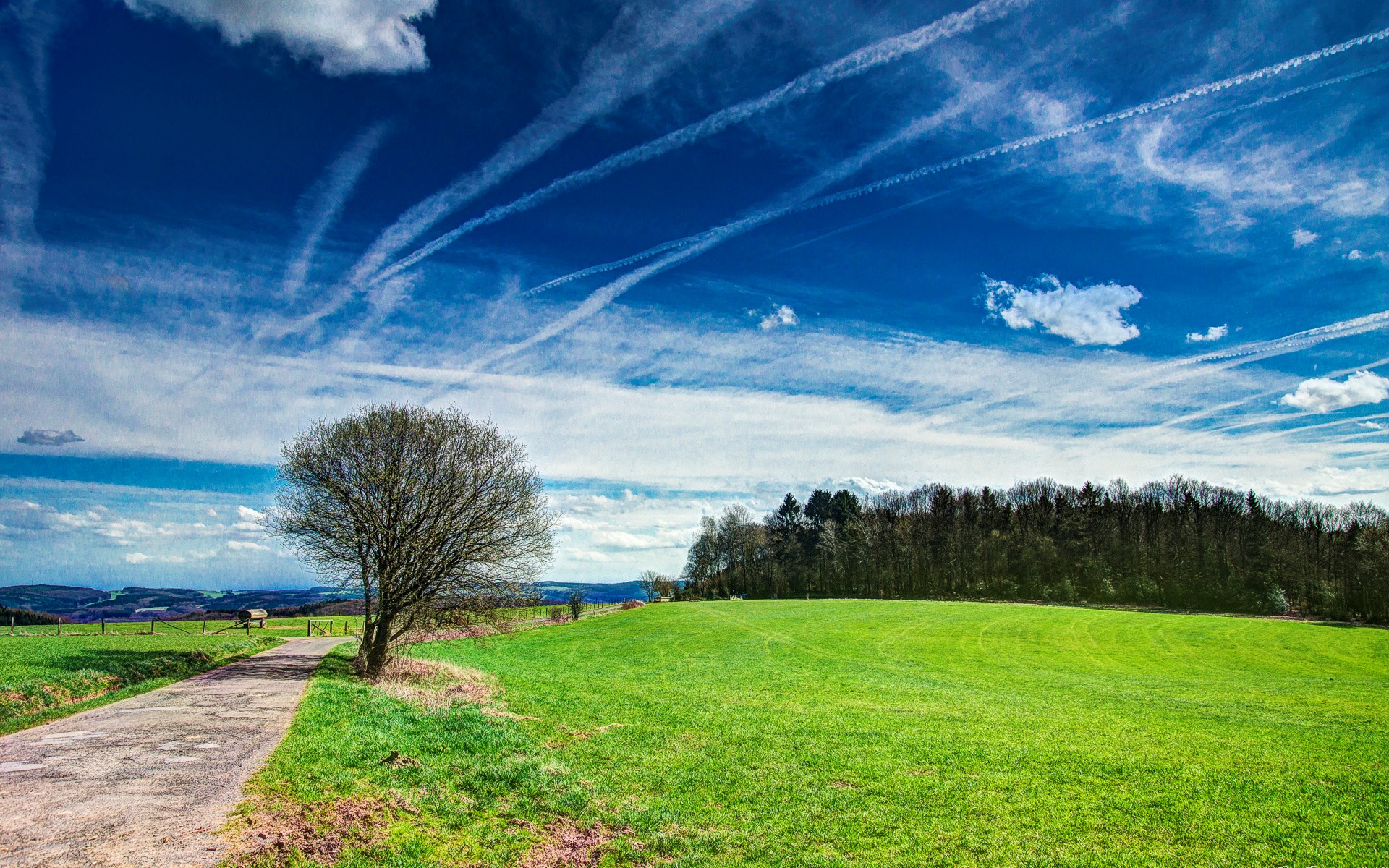 A lone tree on a green field under a cloudy sky HD Wallpaper