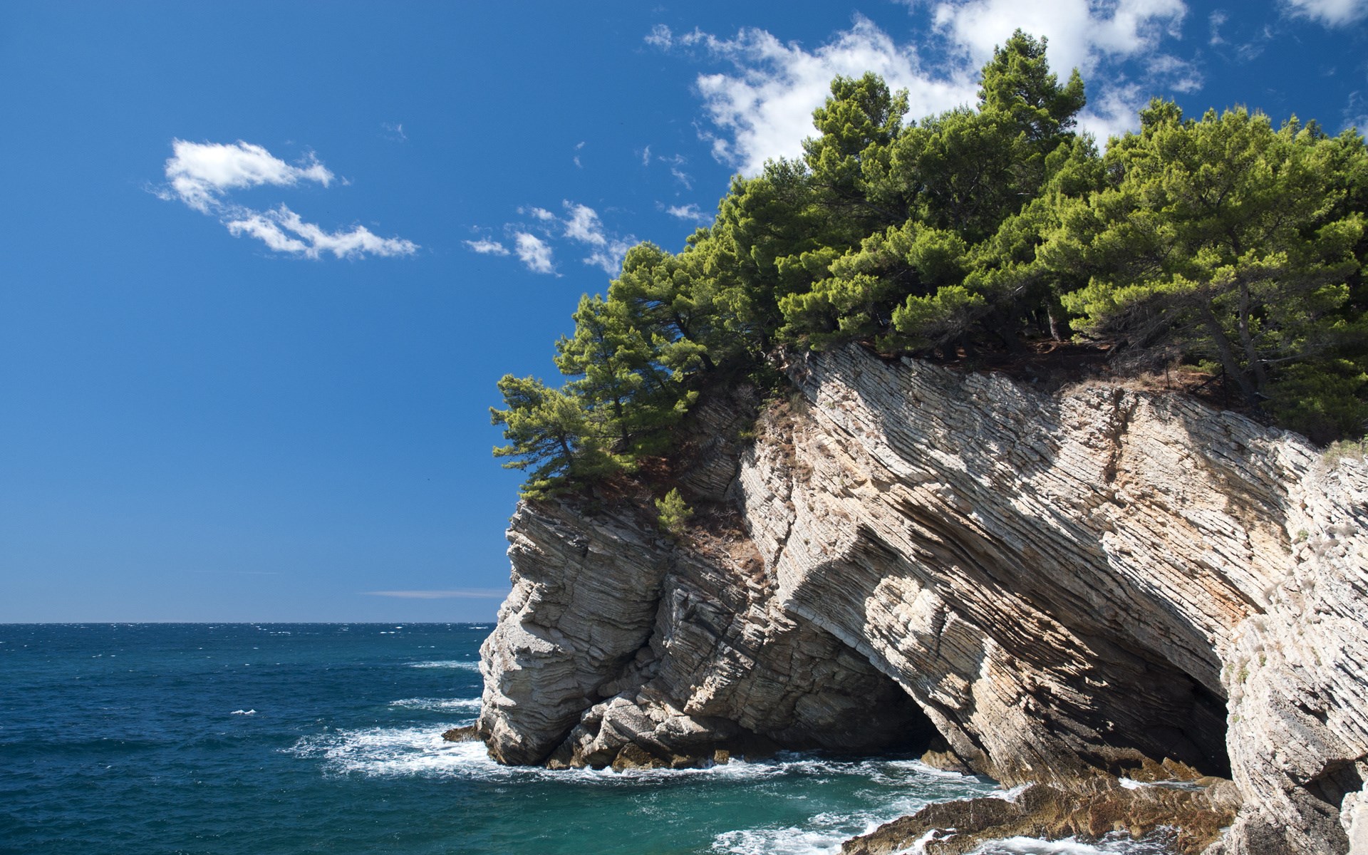 Rocky cliff with pine trees overlooking the sea HD Wallpaper