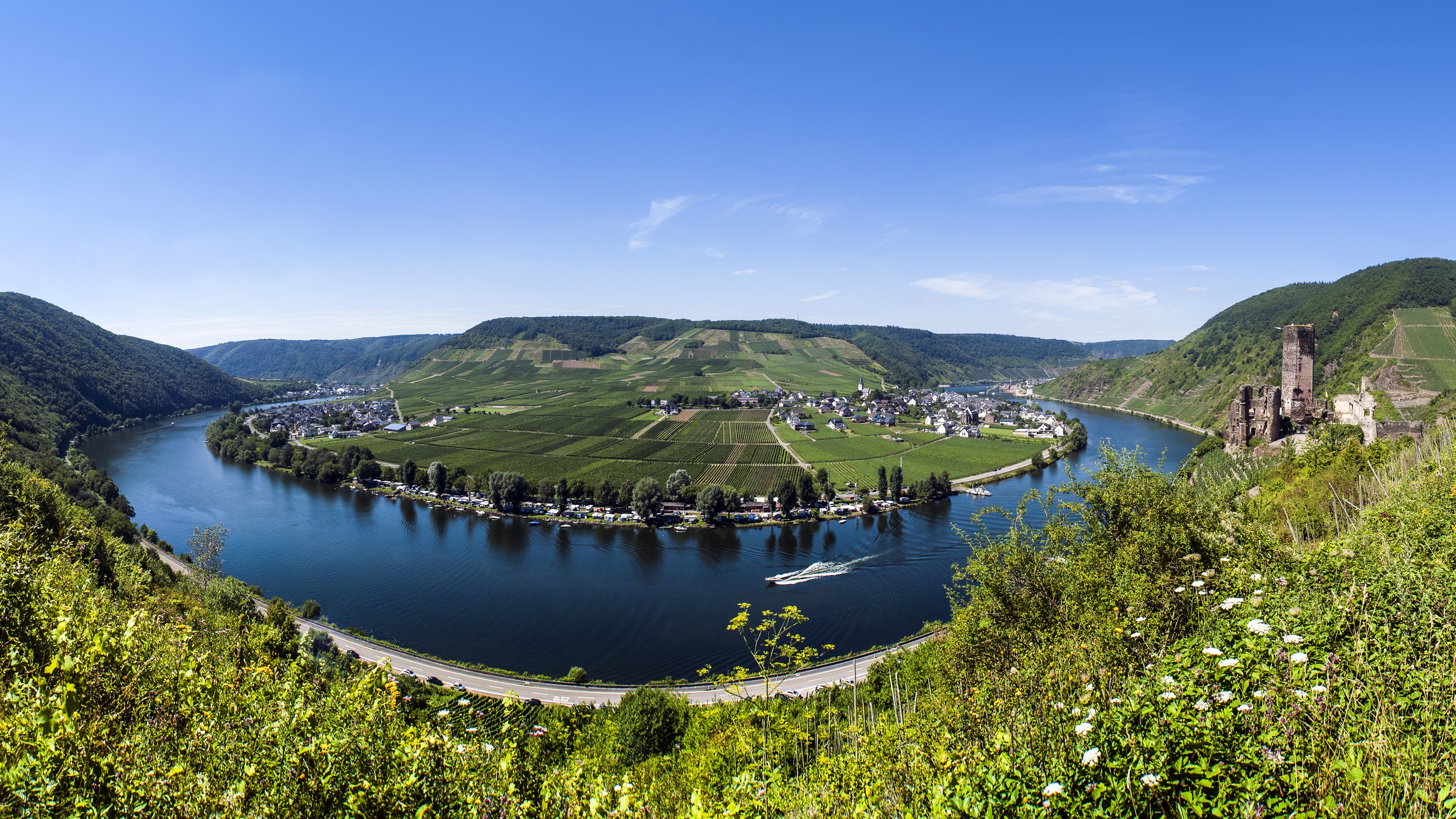 River bend with vineyards and castle ruins HD Wallpaper