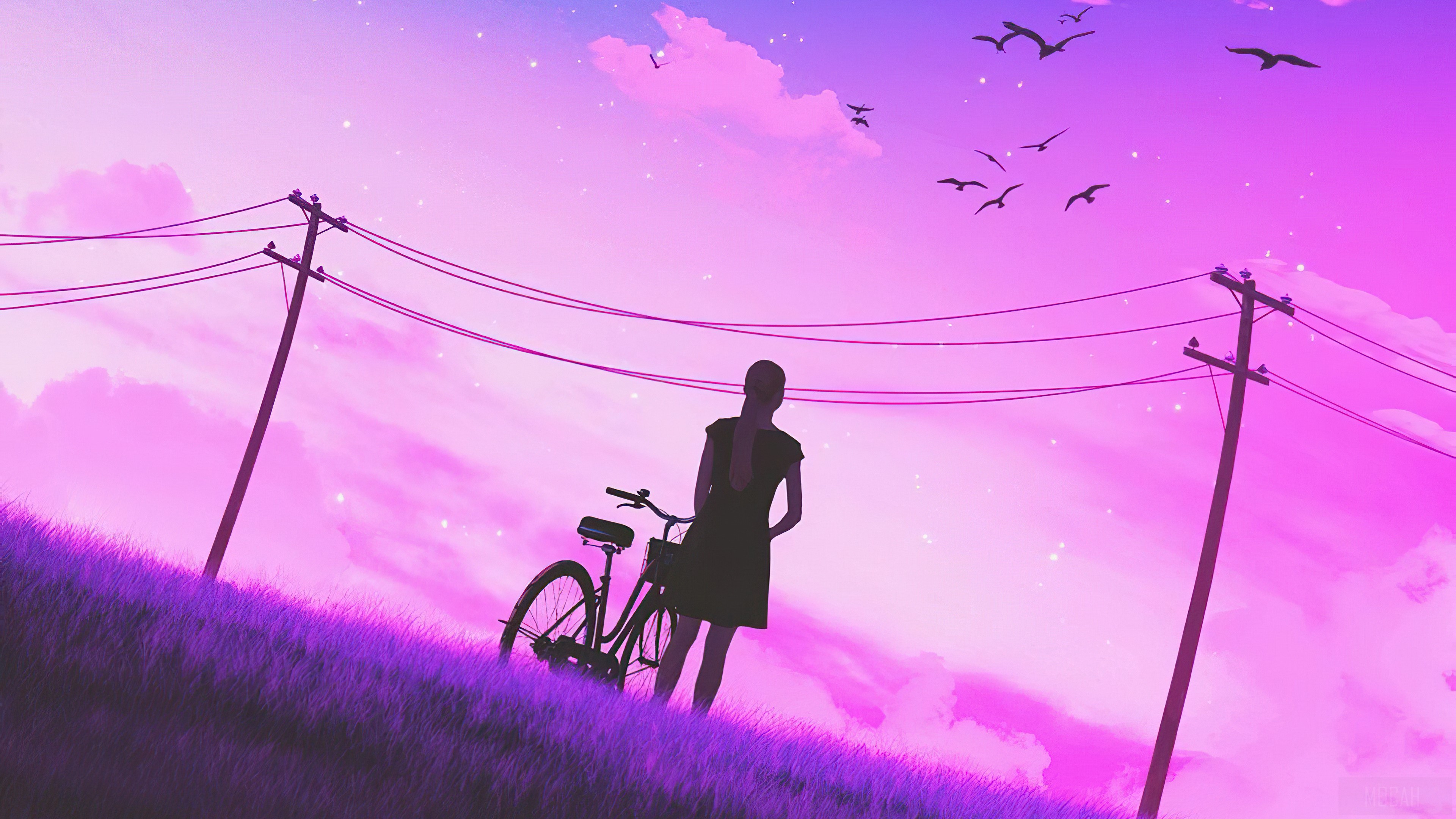 Girl with Bicycle under Telephone Wires at Night HD Wallpaper